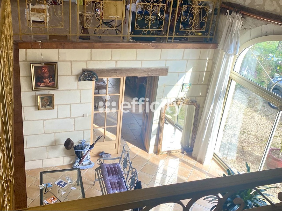 Achat immobilier Maison 9 pièces  230m2 à La Chapelle-sur-Loire (37140) - Photo n°1