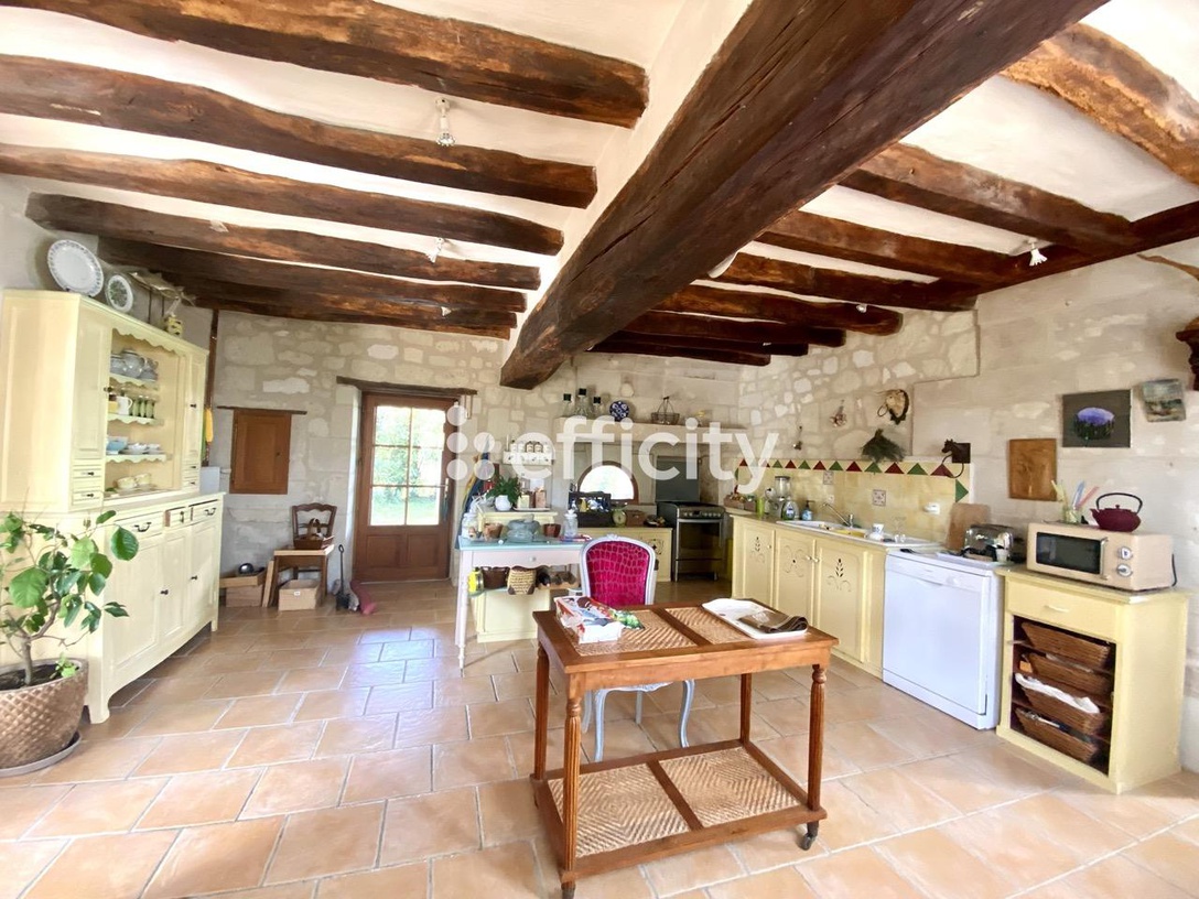 Achat immobilier Maison 9 pièces  230m2 à La Chapelle-sur-Loire (37140) - Photo n°5