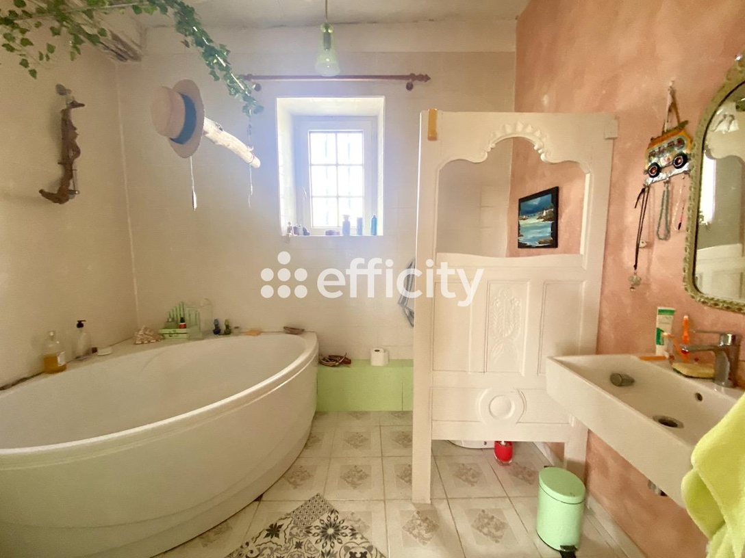 Achat immobilier Maison 9 pièces  230m2 à La Chapelle-sur-Loire (37140) - Photo n°6