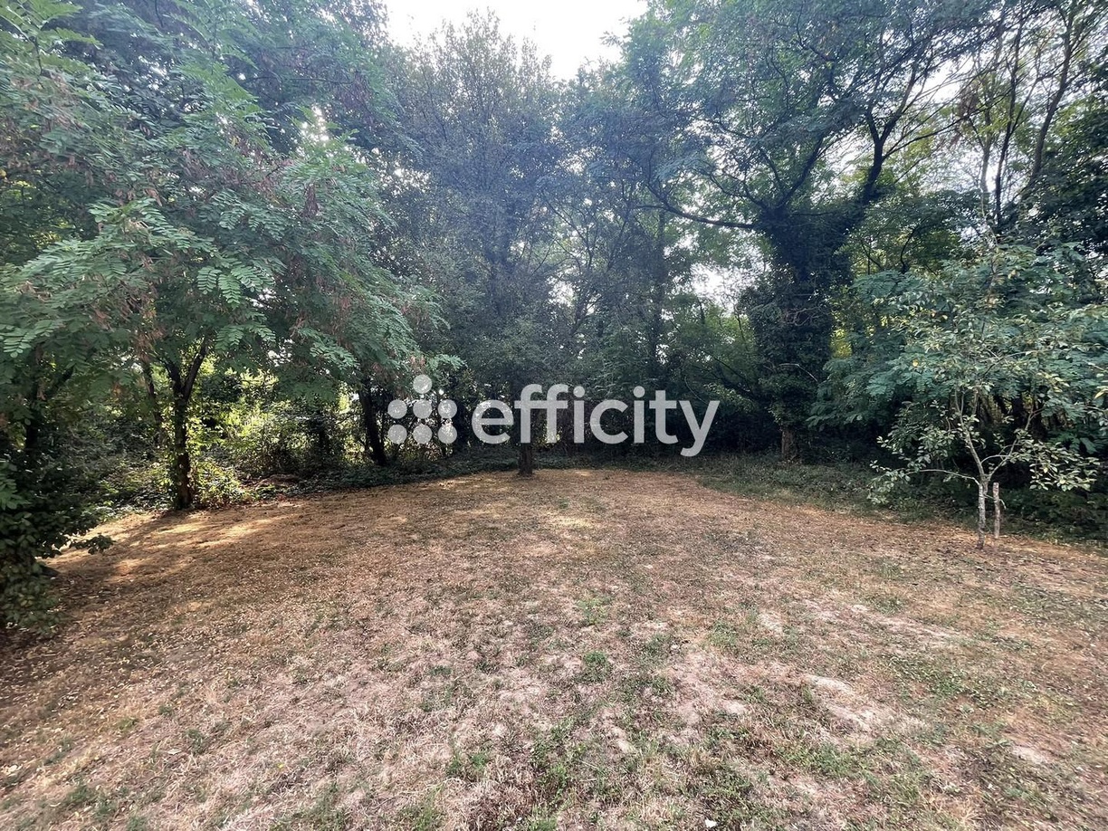 Achat immobilier Maison 20 pièces  575m2 à Bergerac (24100) - Photo n°8