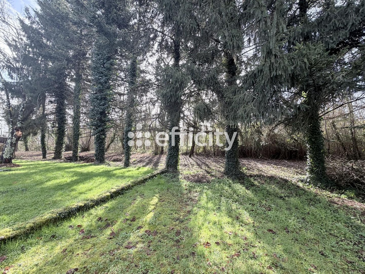 Achat immobilier Maison 7 pièces  252m2 à Bergerac (24100) - Photo n°6