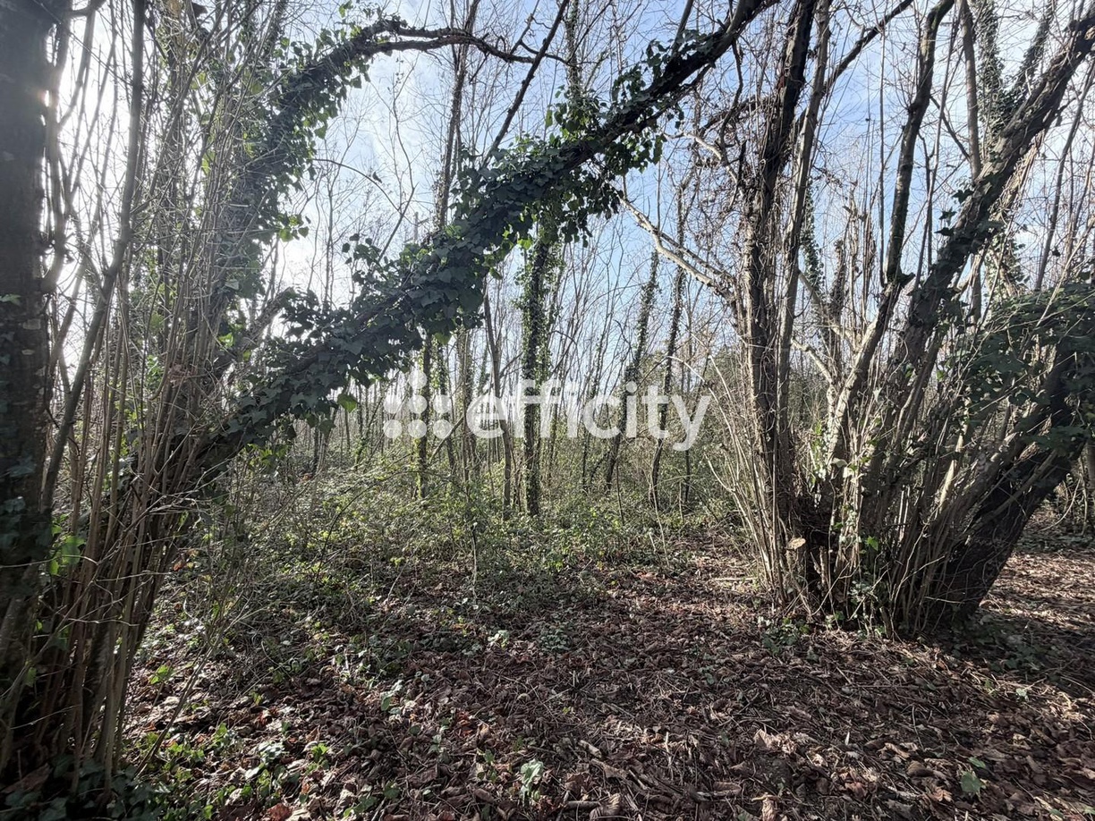 Achat immobilier Maison 7 pièces  252m2 à Bergerac (24100) - Photo n°8