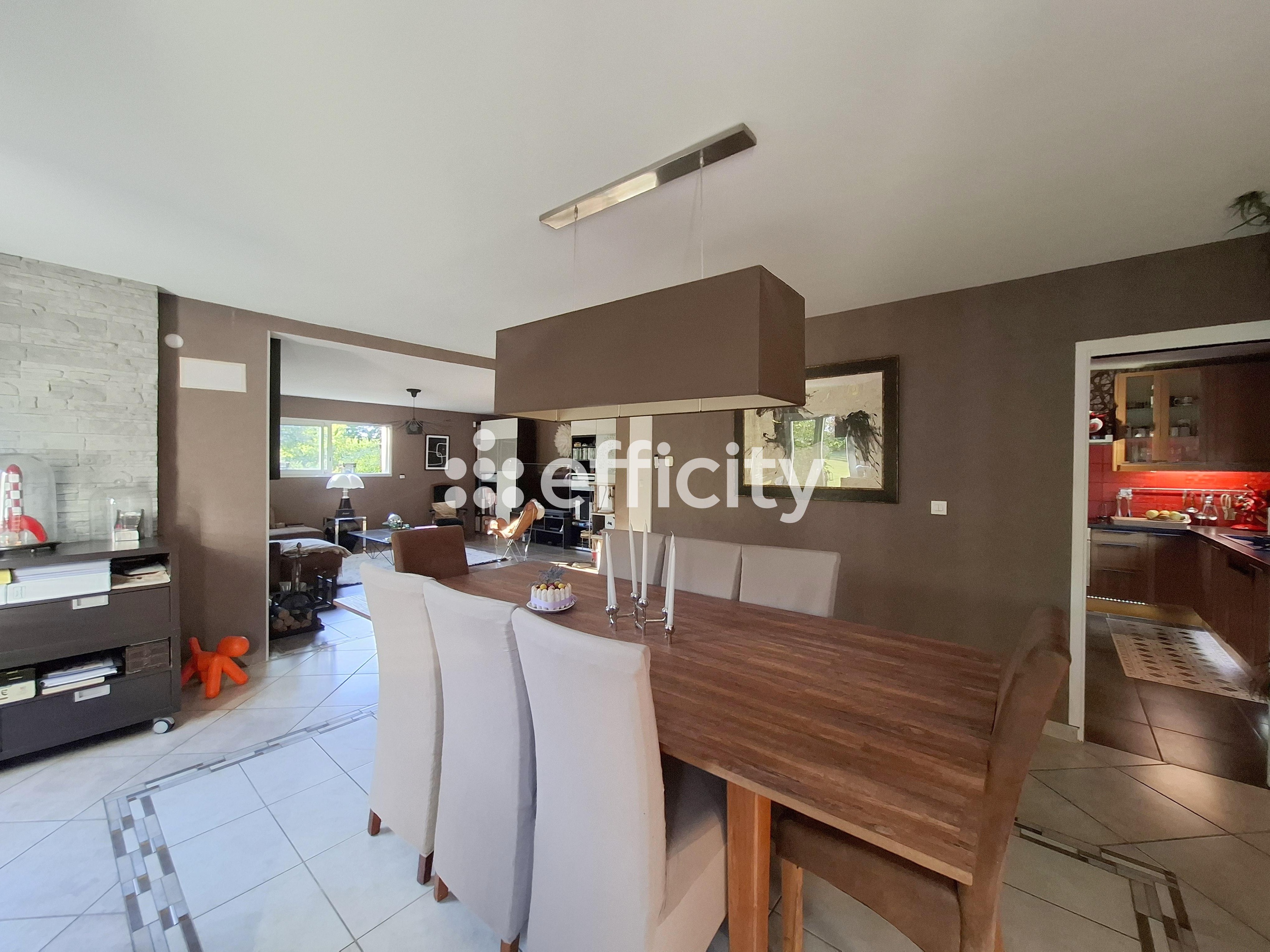 Achat immobilier Maison 10 pièces  185m2 à Brou (28160) - Photo n°4