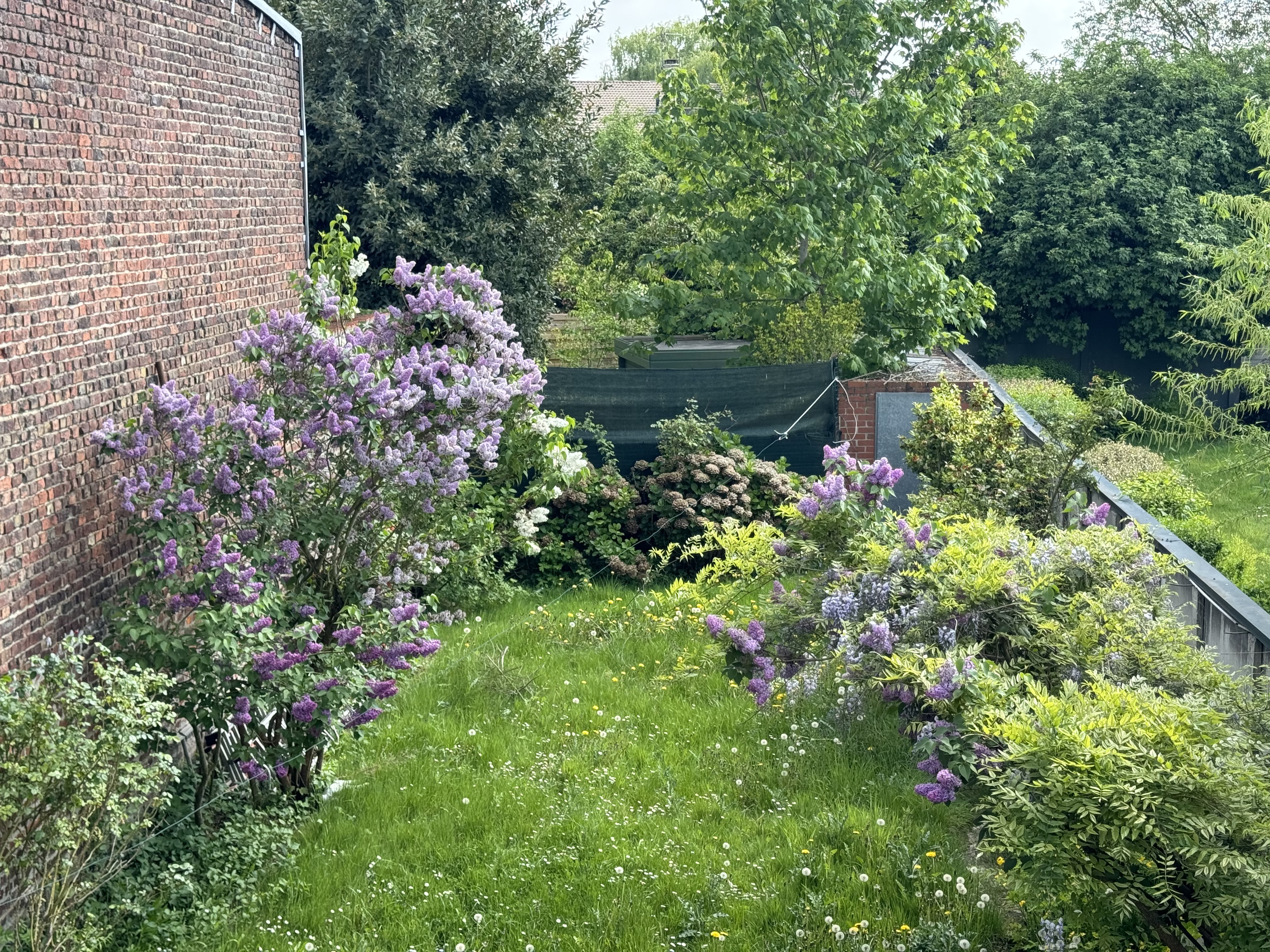 Achat immobilier Maison 9 pièces  147m2 à Lille (59000) - Photo n°14