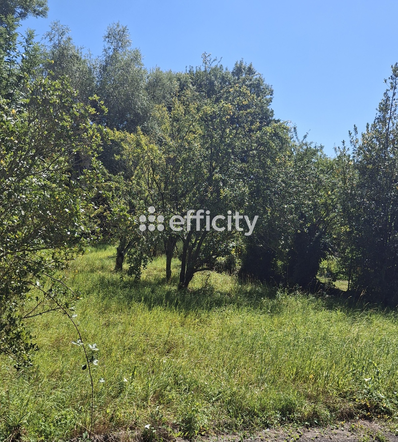 terrain  - 963,0m2 à Vesoul (70000)