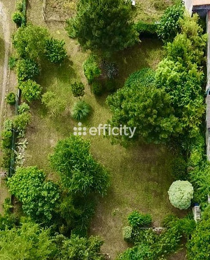 Achat immobilier Maison 5 pièces  156m2 à Dolus-d'Oléron (17550) - Photo n°22