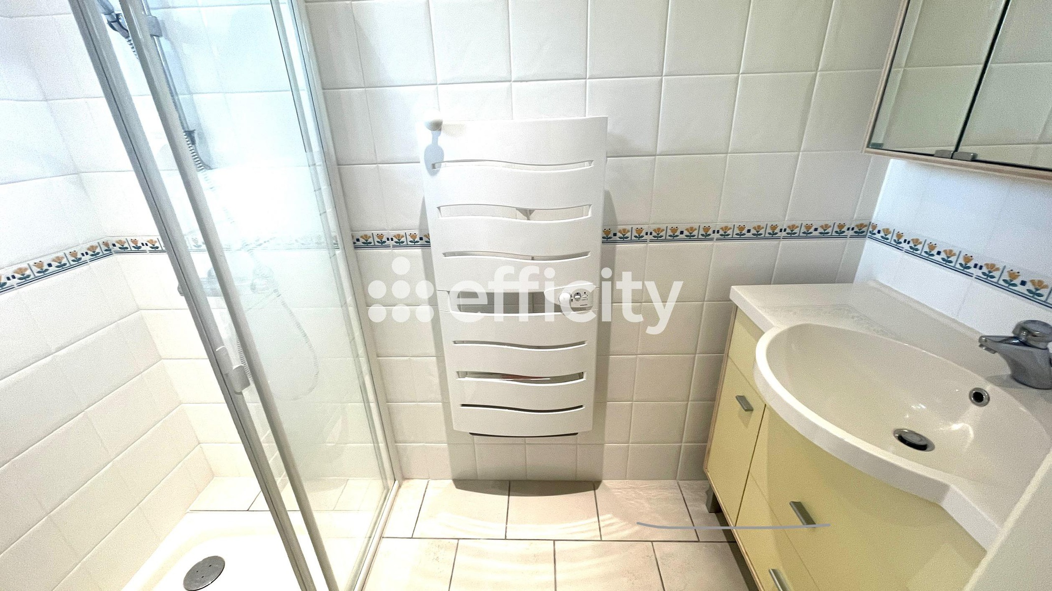 Achat immobilier Maison 5 pièces  156m2 à Dolus-d'Oléron (17550) - Photo n°10