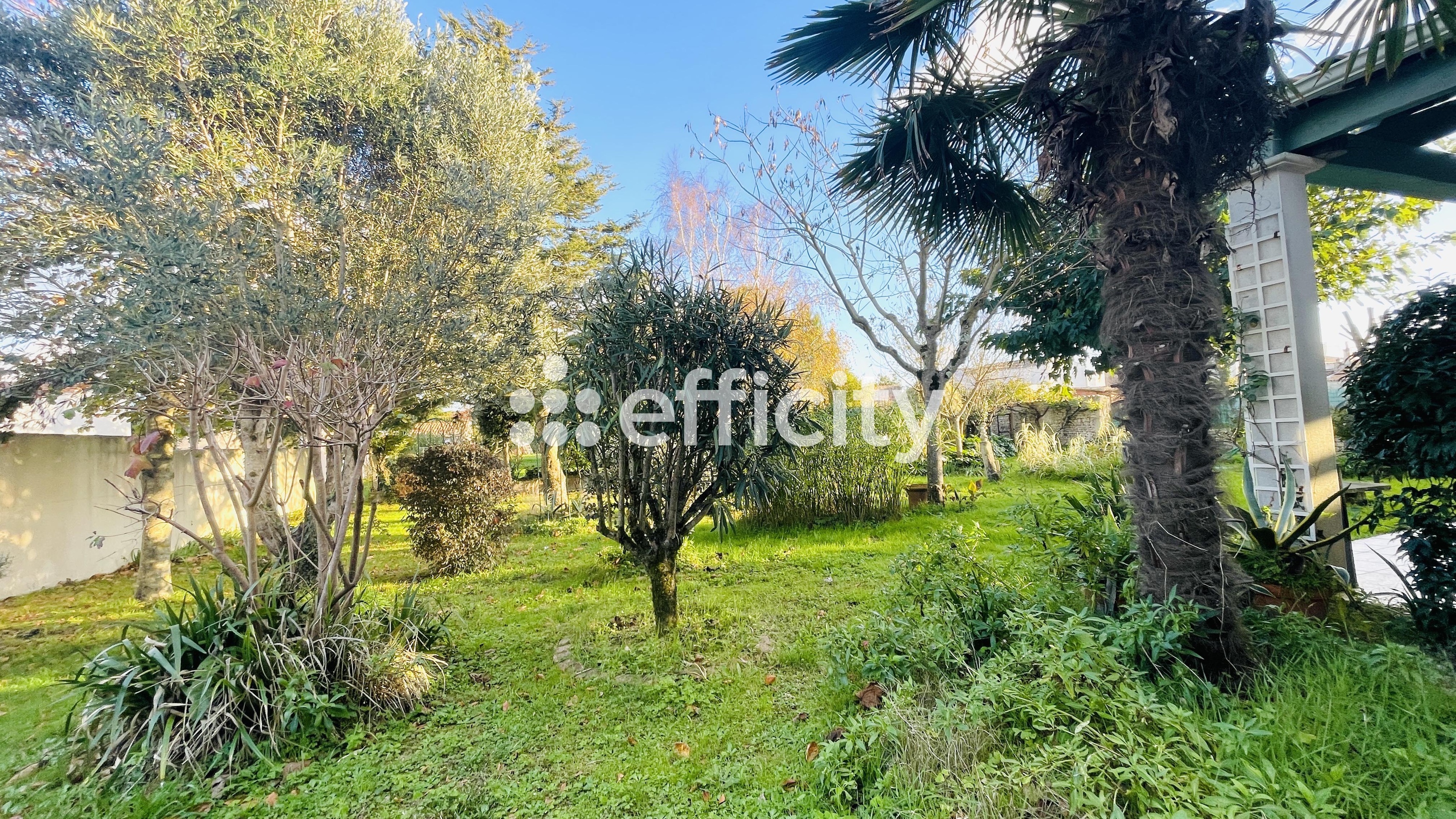 Achat immobilier Maison 5 pièces  156m2 à Dolus-d'Oléron (17550) - Photo n°21