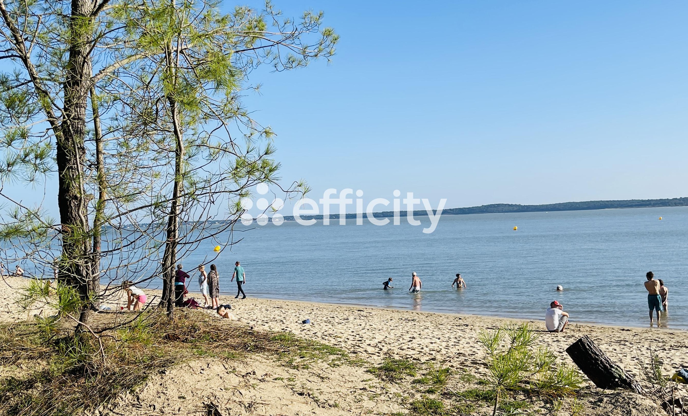 Achat immobilier Maison 5 pièces  156m2 à Dolus-d'Oléron (17550) - Photo n°24