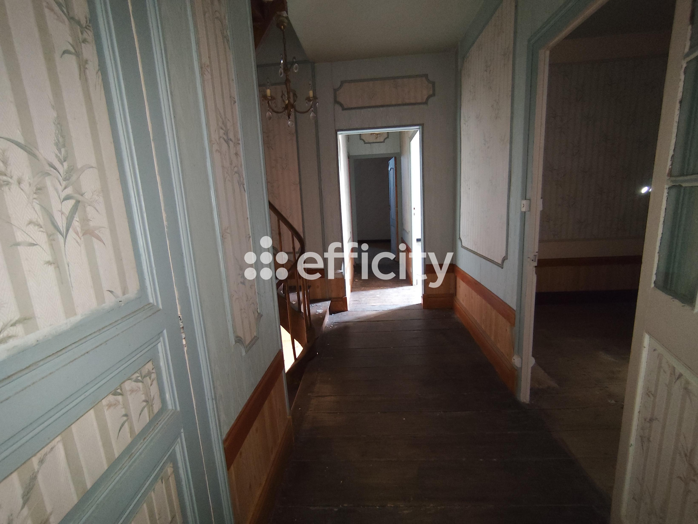 Achat immobilier Maison 10 pièces  226m2 à Val-de-Cognac (16370) - Photo n°18