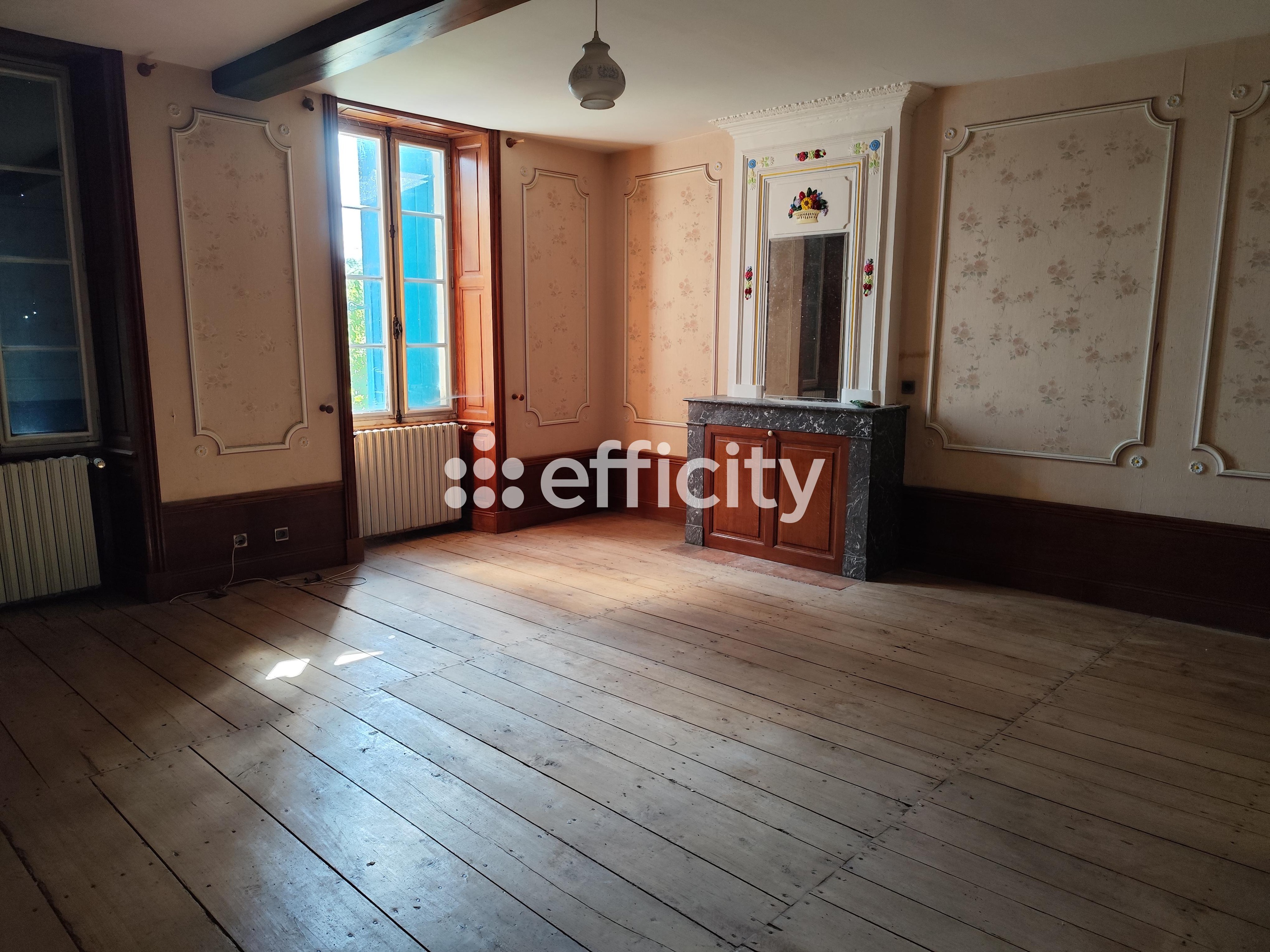 Achat immobilier Maison 10 pièces  226m2 à Val-de-Cognac (16370) - Photo n°9