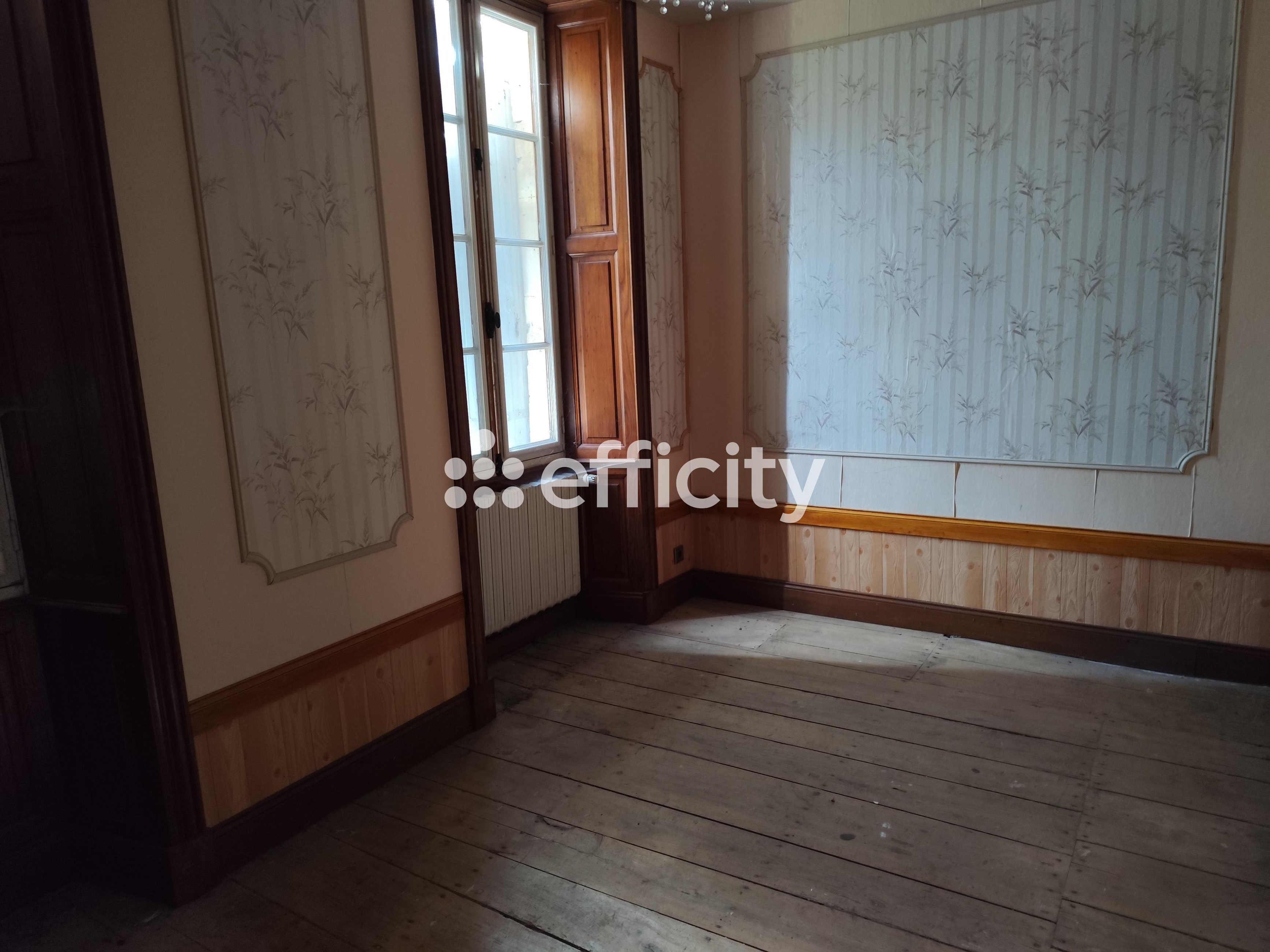 Achat immobilier Maison 10 pièces  226m2 à Val-de-Cognac (16370) - Photo n°8