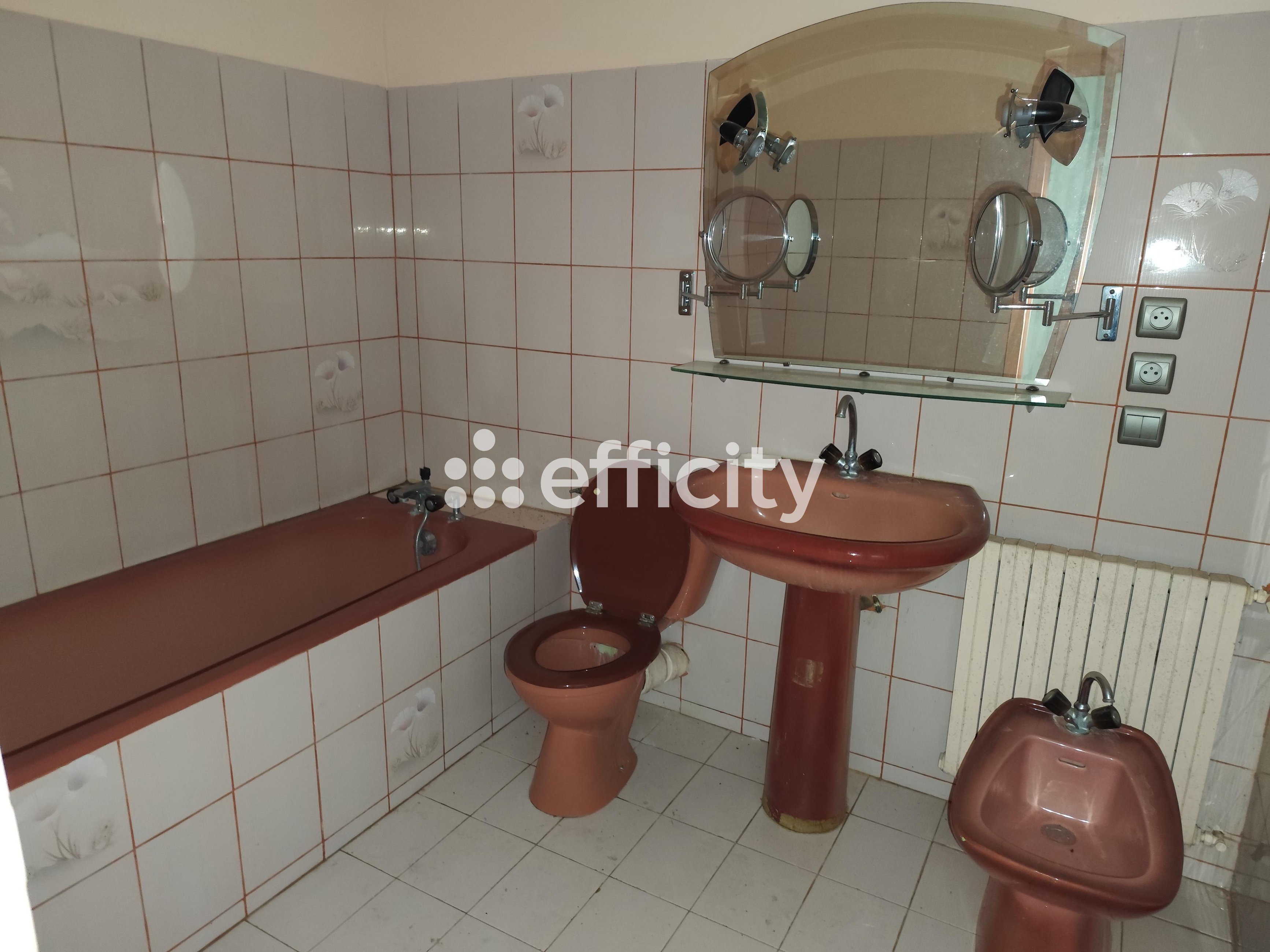 Achat immobilier Maison 10 pièces  226m2 à Val-de-Cognac (16370) - Photo n°12