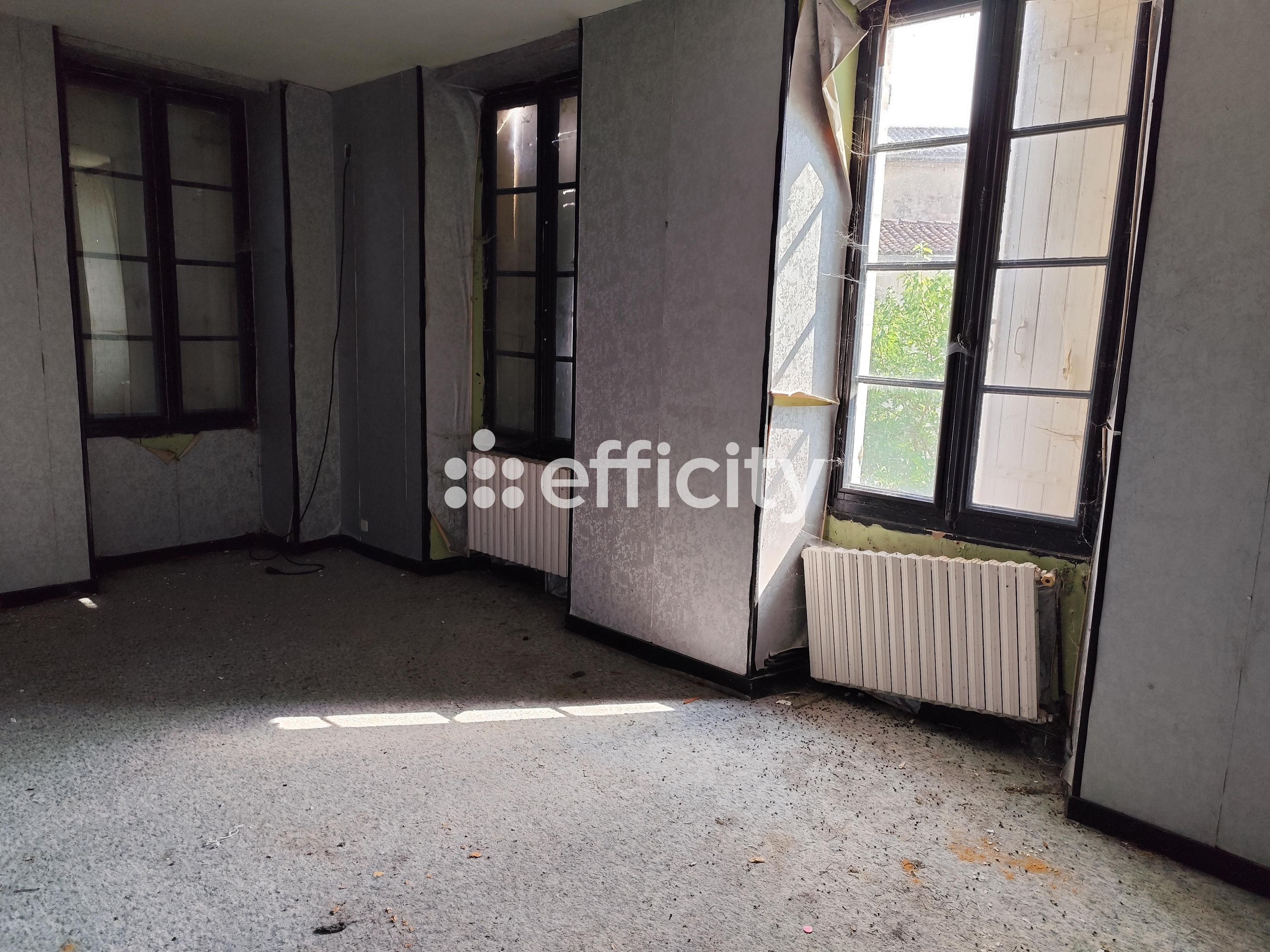 Achat immobilier Maison 10 pièces  226m2 à Val-de-Cognac (16370) - Photo n°10