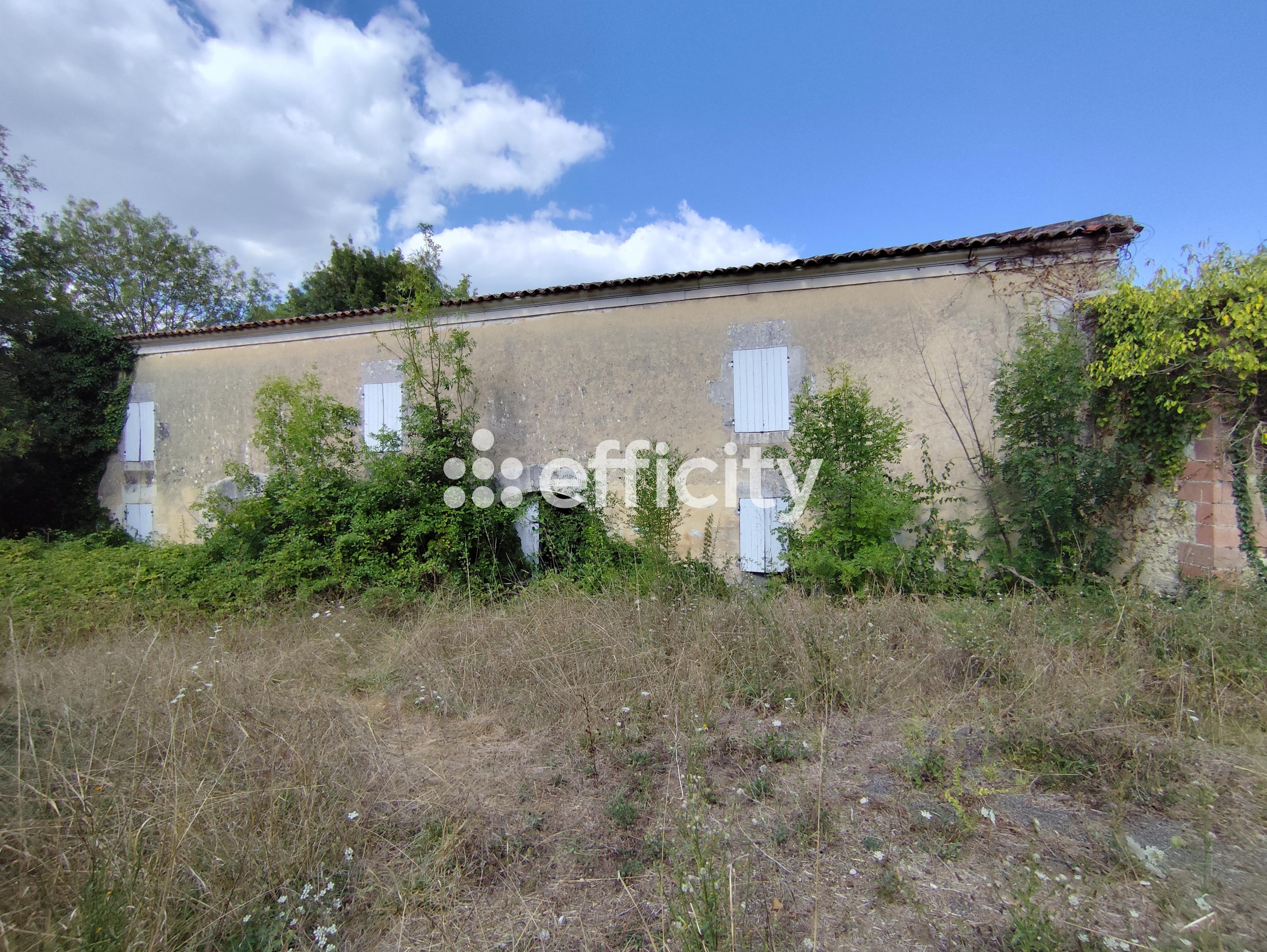 Achat immobilier Maison 10 pièces  226m2 à Val-de-Cognac (16370) - Photo n°20