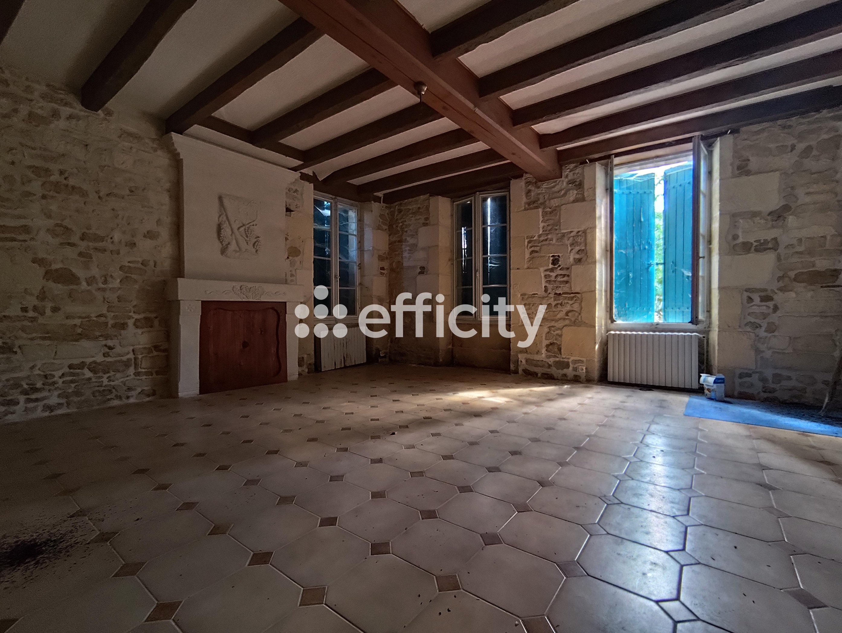 Achat immobilier Maison 10 pièces  226m2 à Val-de-Cognac (16370) - Photo n°6