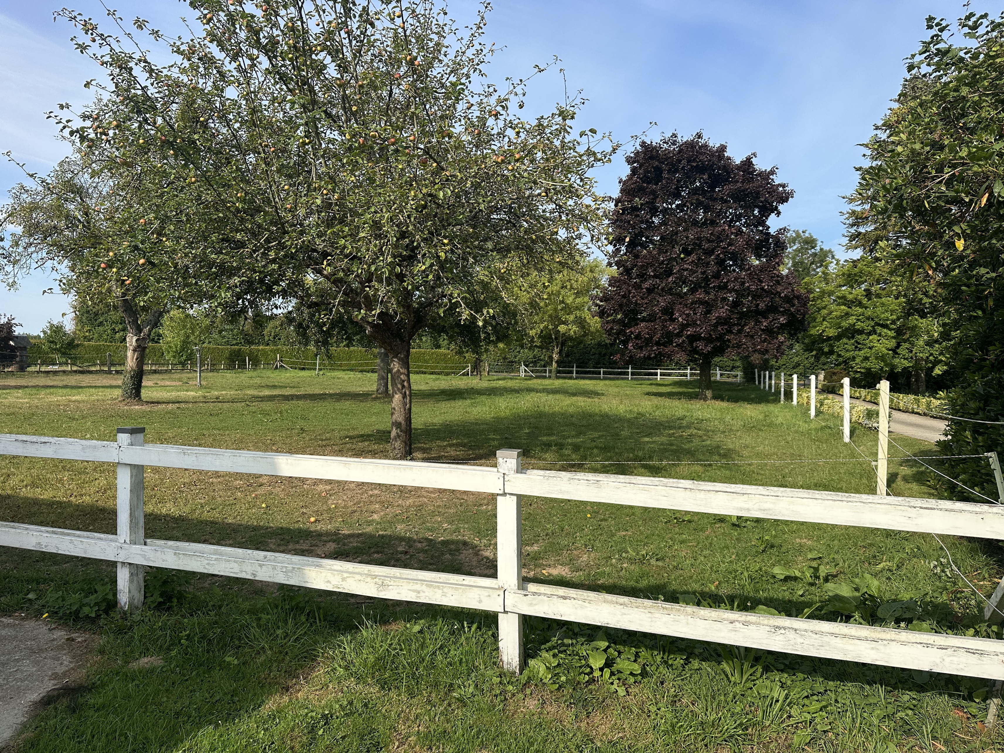 Achat immobilier Maison 5 pièces  142m2 à Quetteville (14130) - Photo n°4