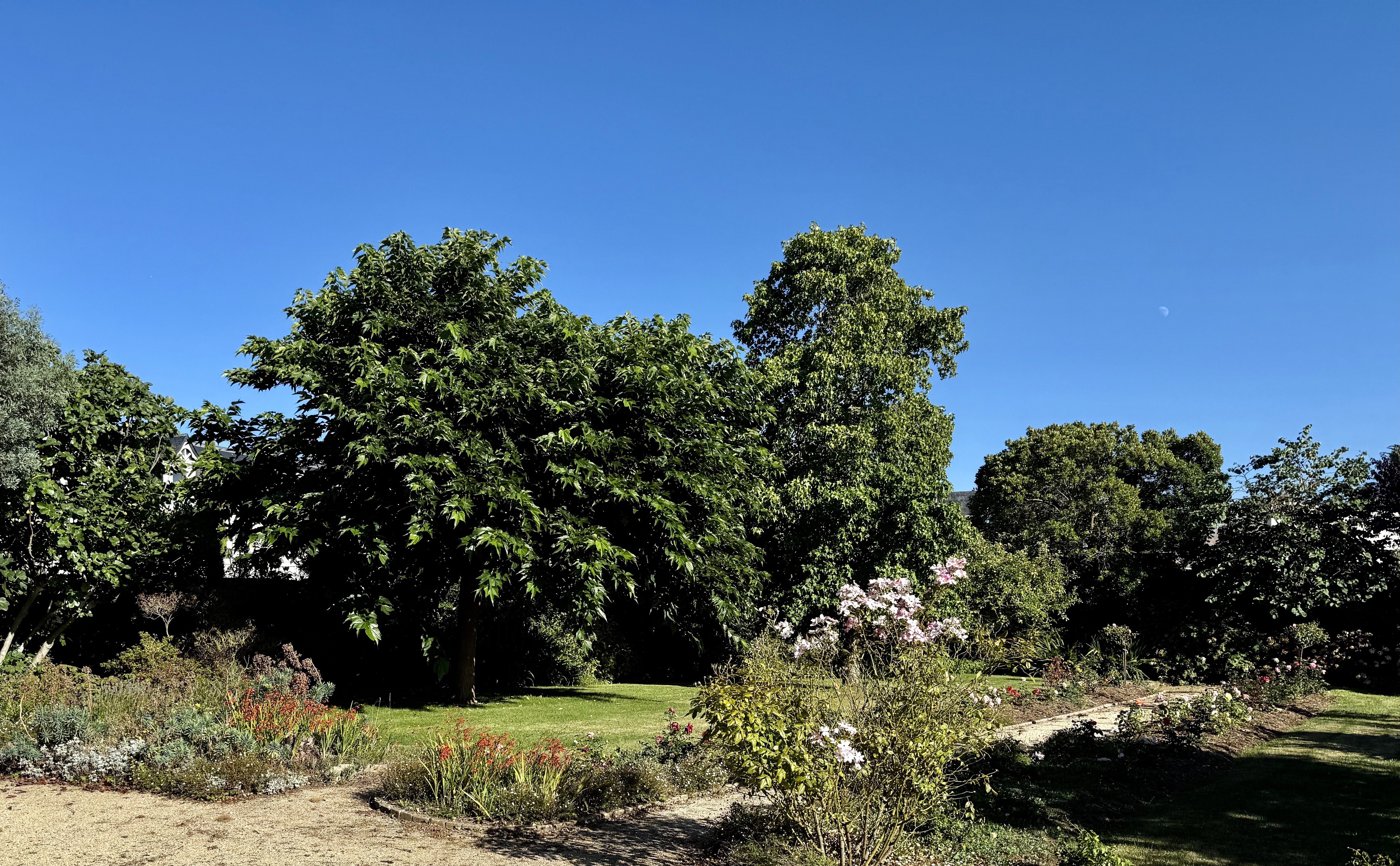 Achat immobilier Maison 10 pièces  243m2 à Saint-Malo (35400) - Photo n°4