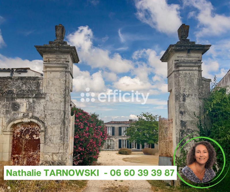 Achat immobilier Maison 16 pièces  436m2 à Angliers (17540) - Photo n°1