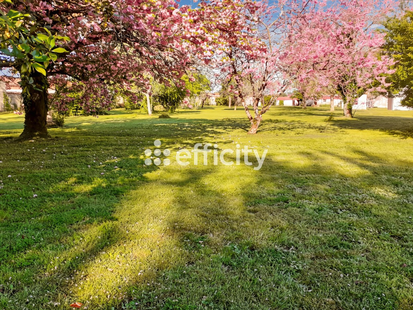 Achat immobilier Maison 16 pièces  436m2 à Angliers (17540) - Photo n°4