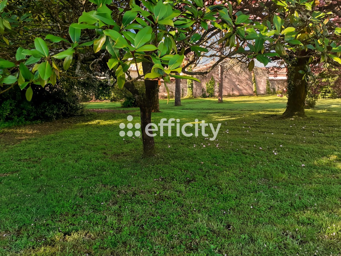 Achat immobilier Maison 16 pièces  436m2 à Angliers (17540) - Photo n°29