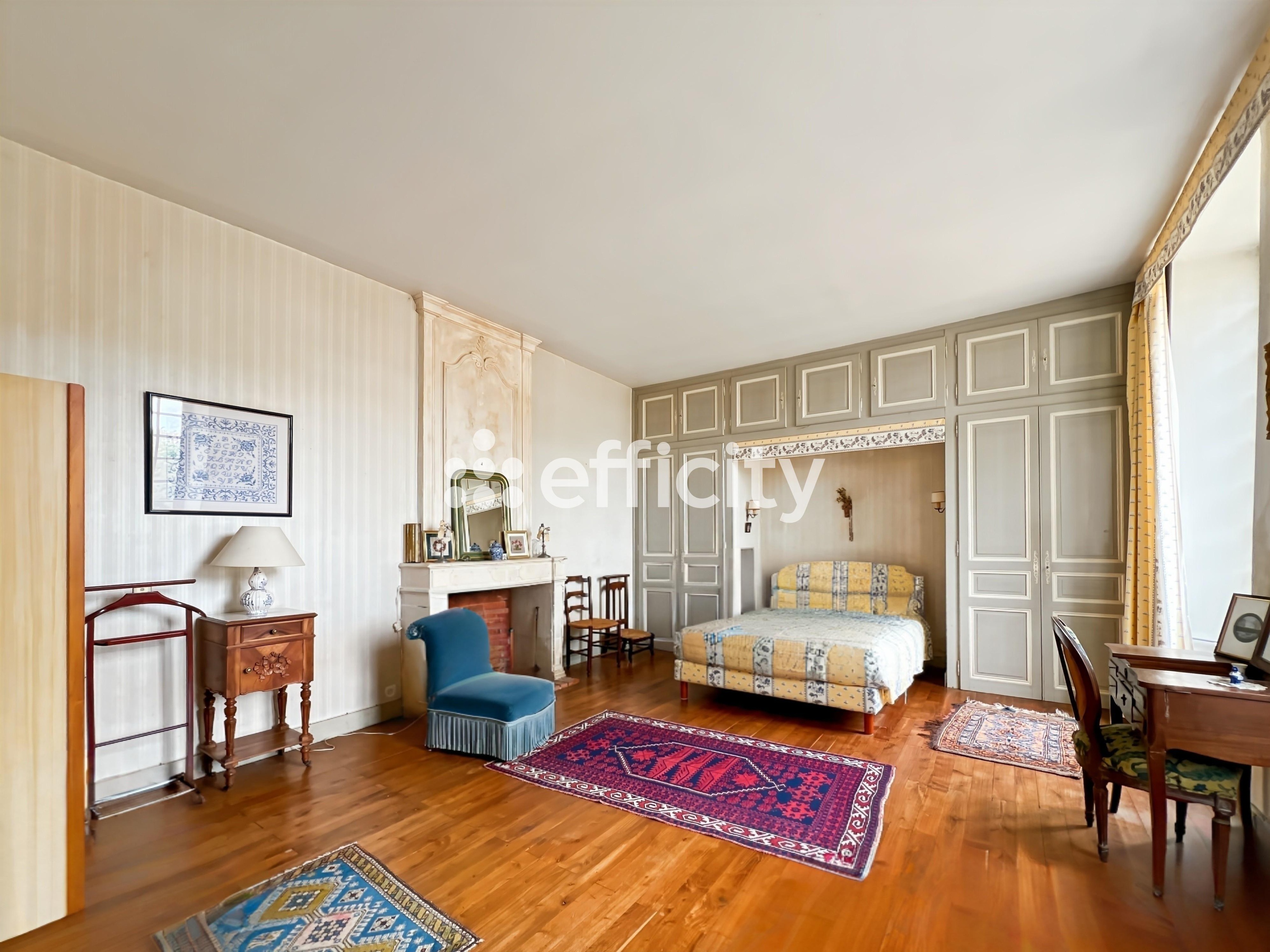 Achat immobilier Maison 16 pièces  436m2 à Angliers (17540) - Photo n°14