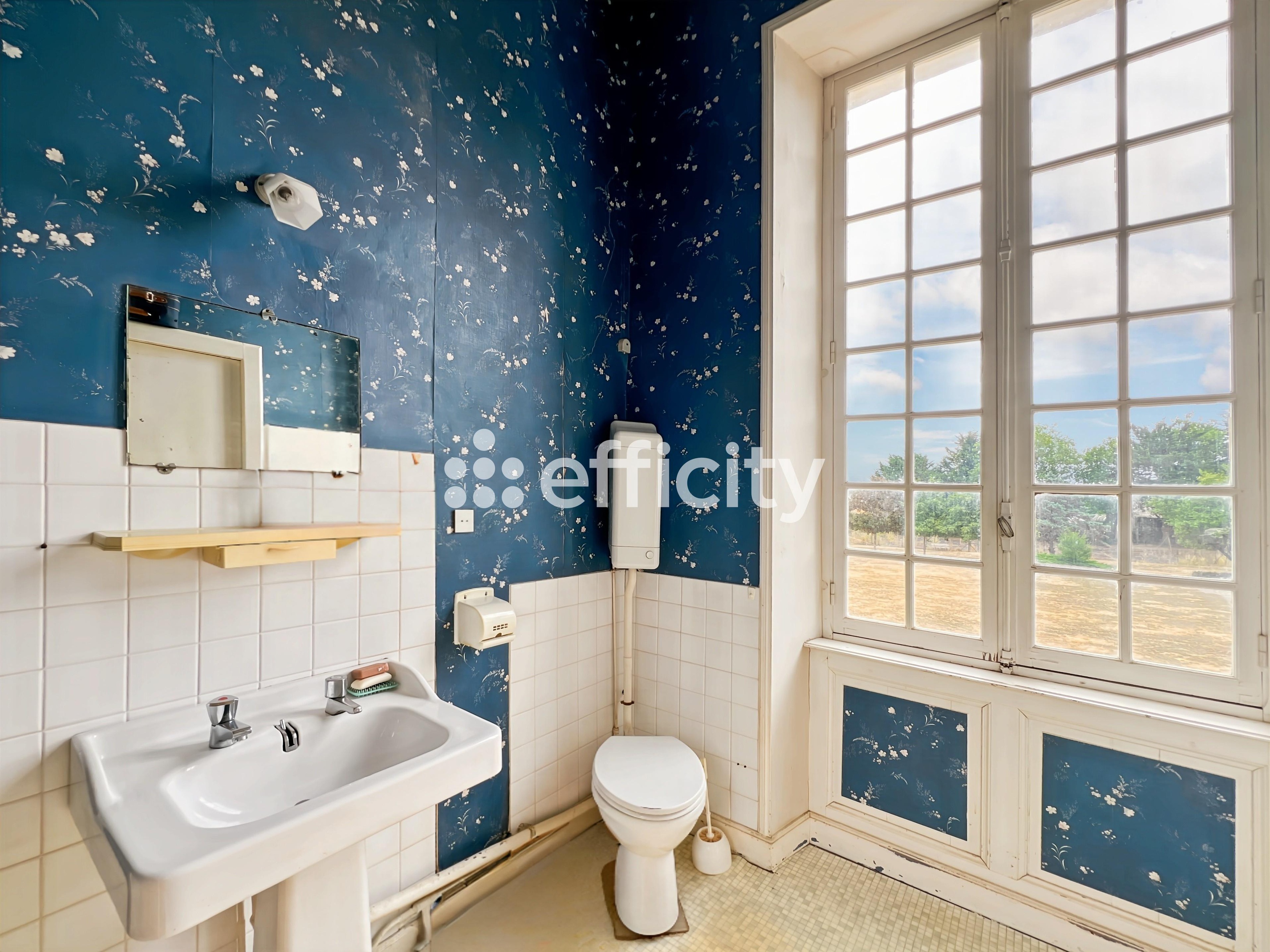 Achat immobilier Maison 16 pièces  436m2 à Angliers (17540) - Photo n°21