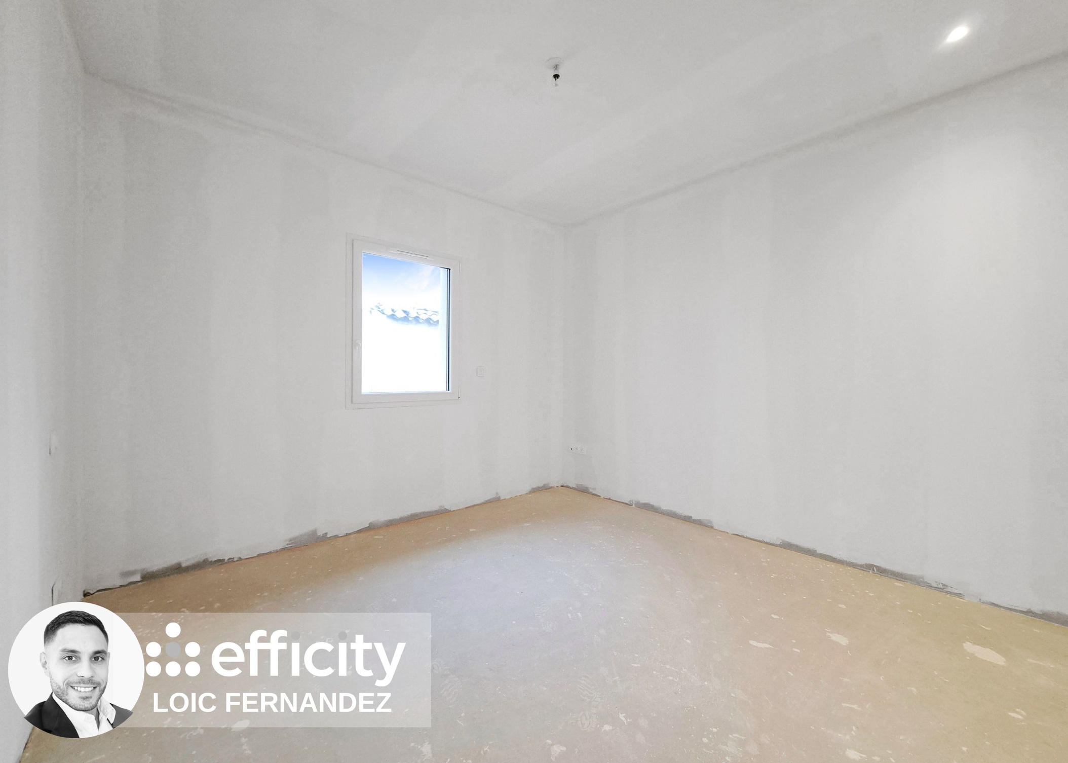 Achat immobilier Maison 5 pièces  153m2 à Miribel (01700) - Photo n°4