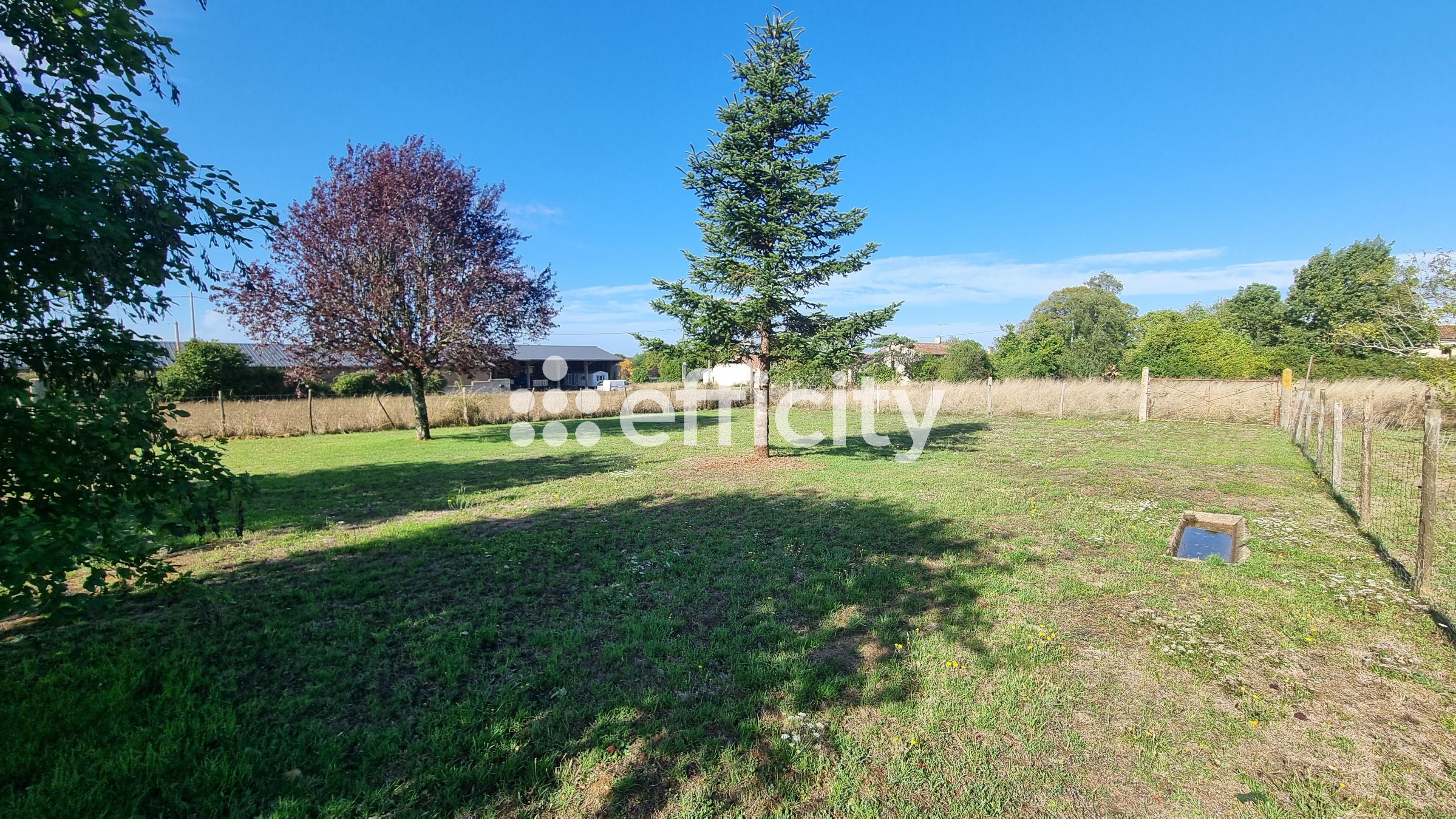 Achat immobilier Maison 5 pièces  206m2 à Villefagnan (16240) - Photo n°11