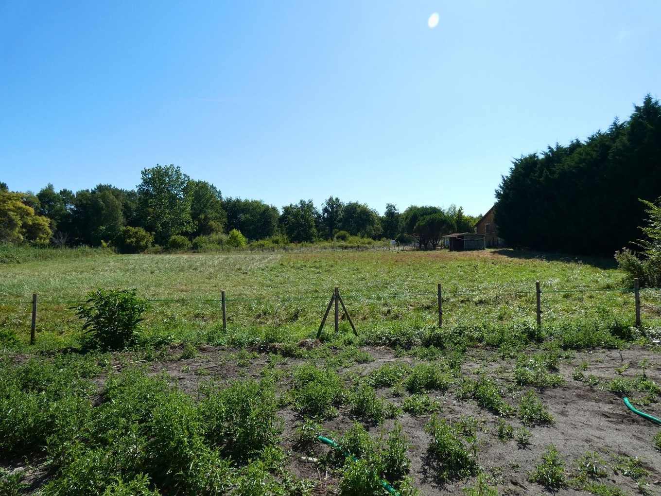 Achat immobilier Maison 4 pièces  116m2 à Montendre (17130) - Photo n°7