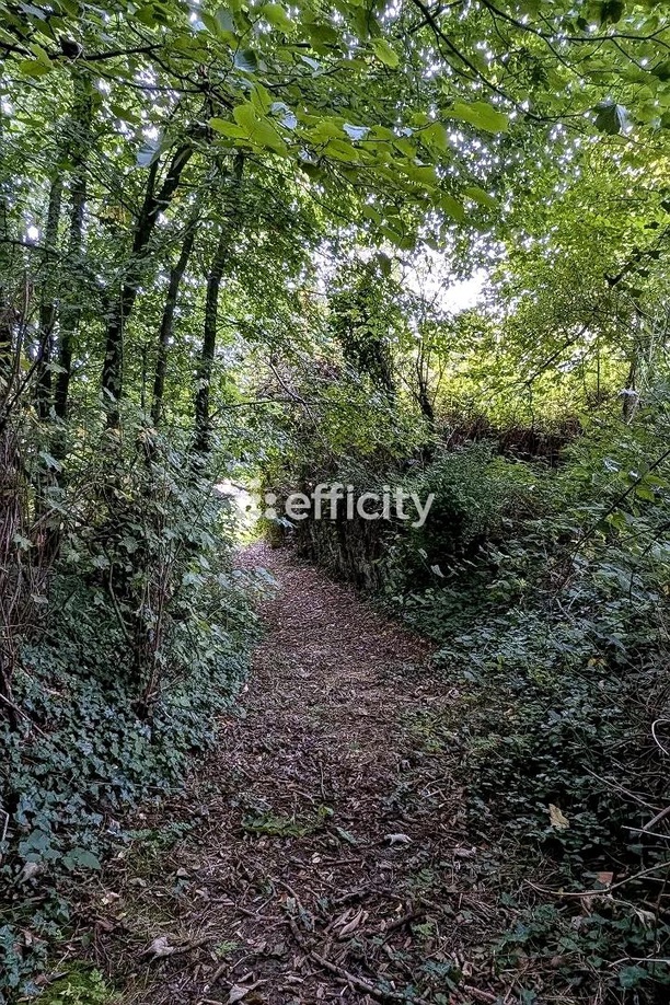 Achat immobilier Maison 4 pièces  104m2 à Beauval (80630) - Photo n°12