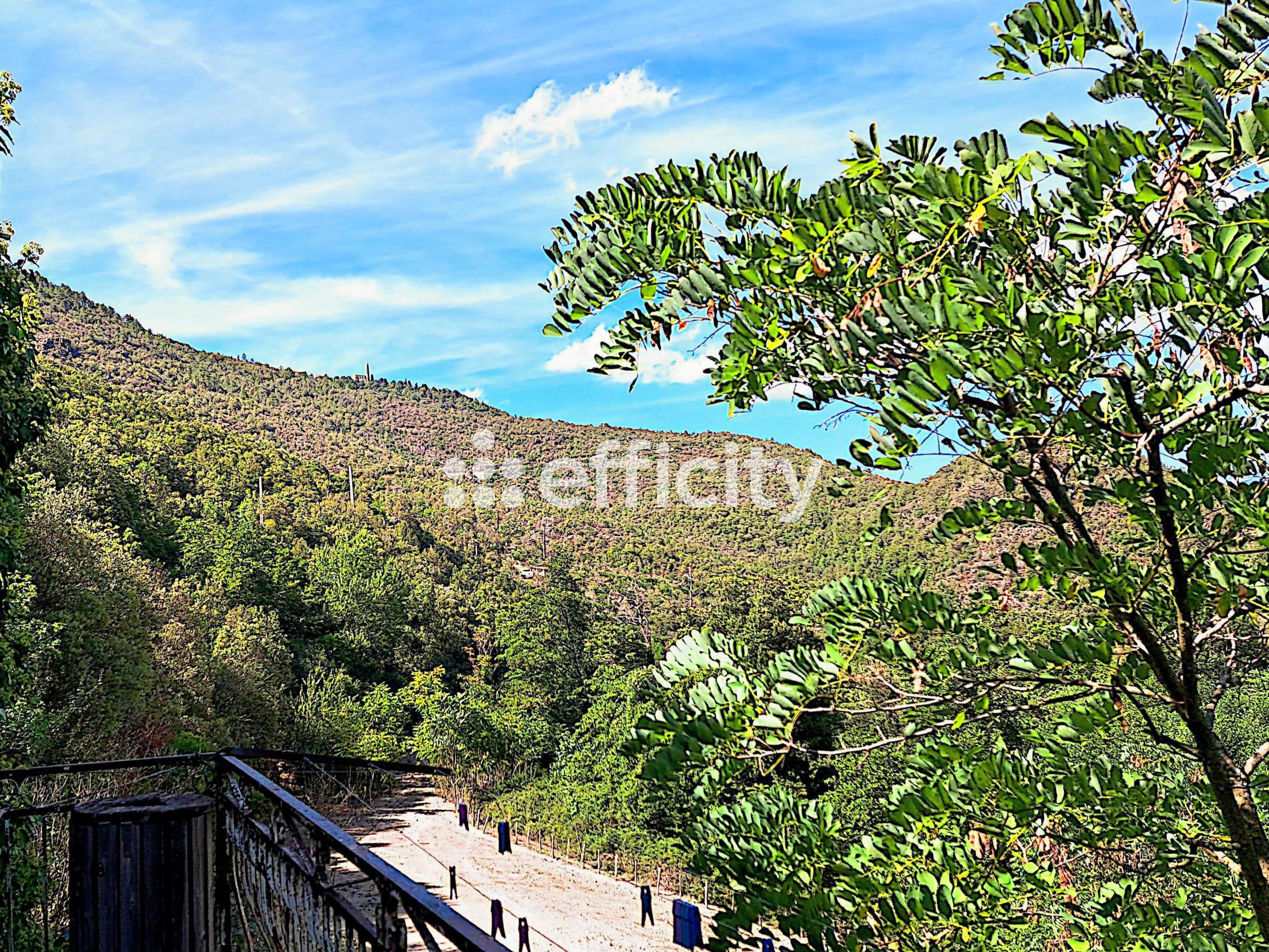 Achat immobilier Maison 4 pièces  250m2 à Lano (20244) - Photo n°13