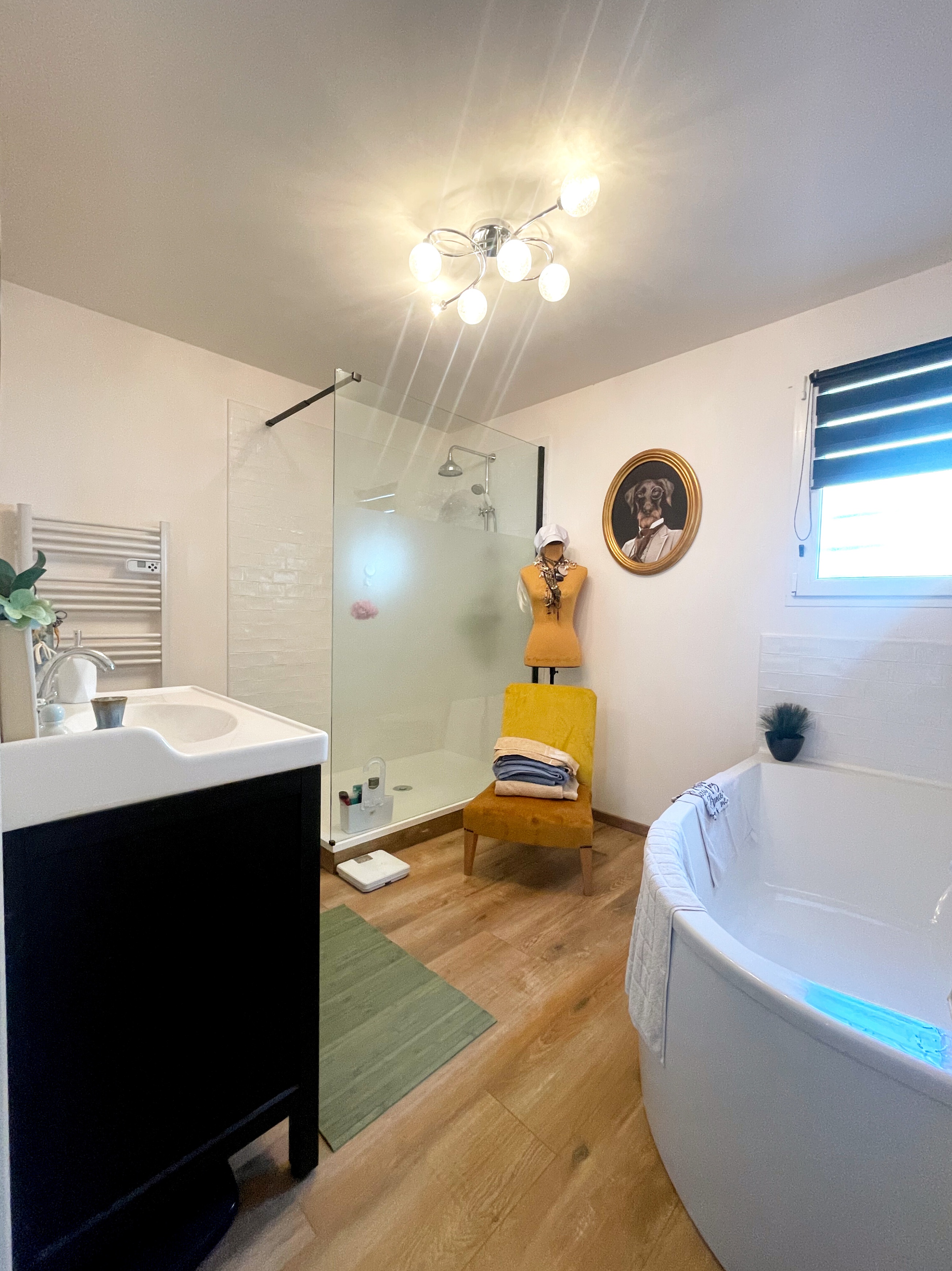 Achat immobilier Maison 6 pièces  186m2 à Rieucros (09500) - Photo n°10