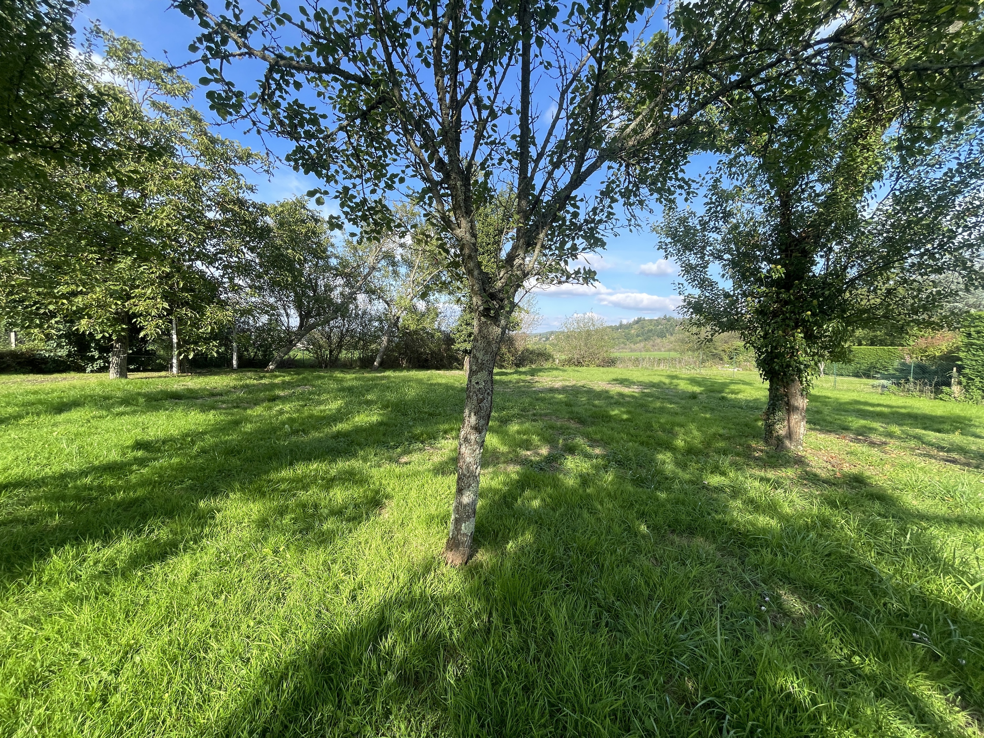 Achat immobilier Maison 5 pièces  138m2 à Le Vernet (03200) - Photo n°20