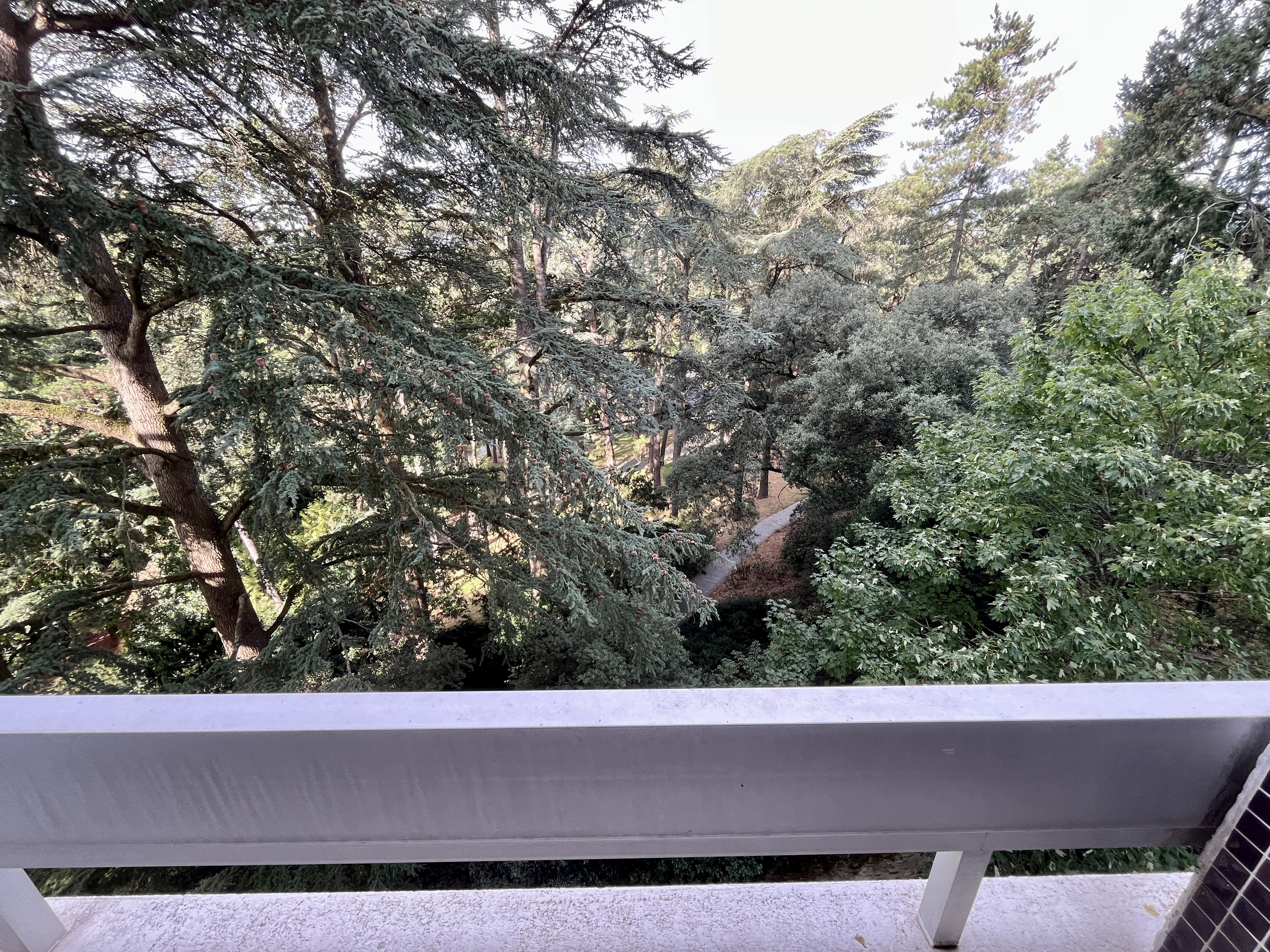 Achat immobilier Appartement 1 pièces  31m2 à Nantes (44000) - Photo n°4