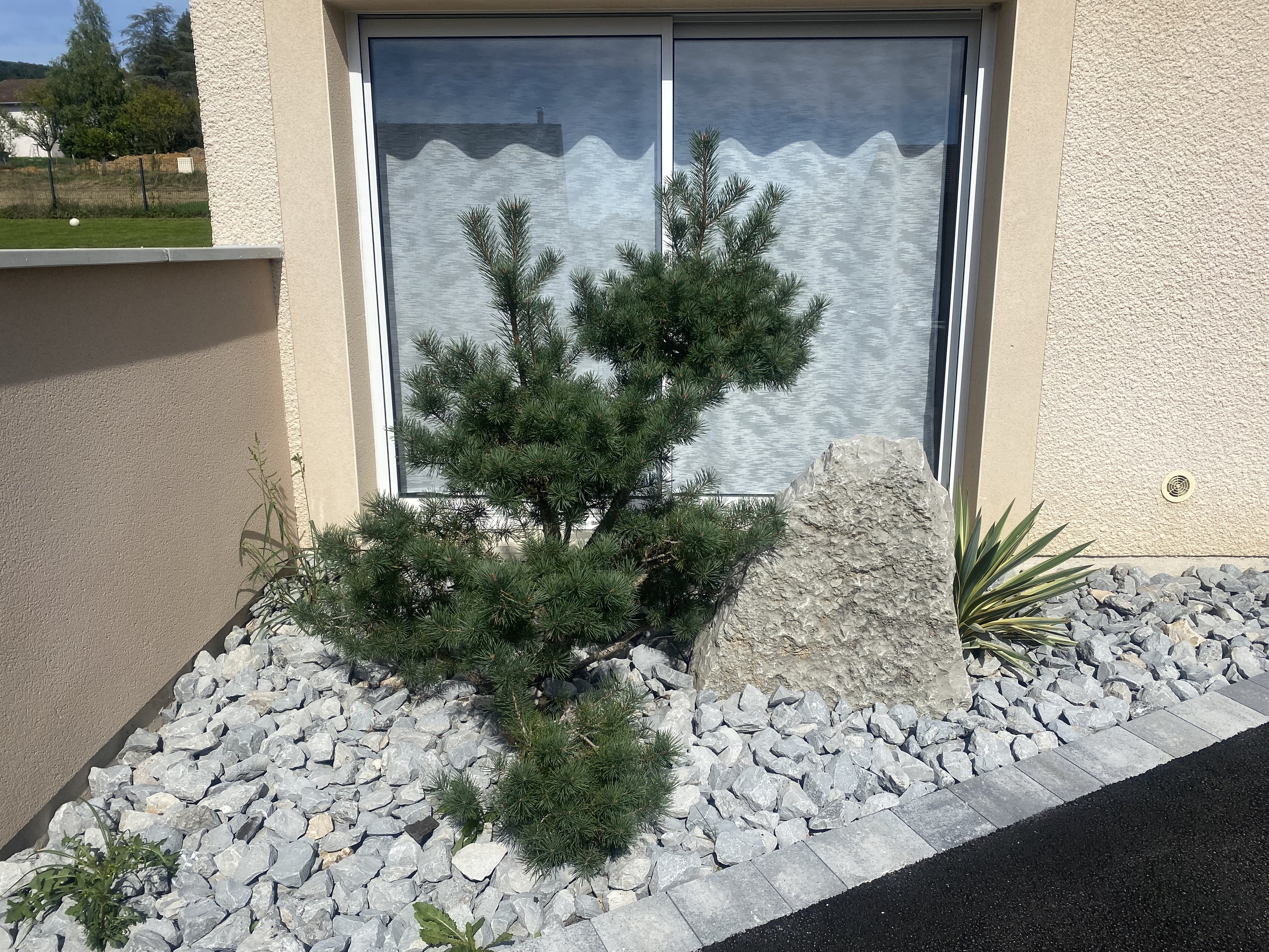 Achat immobilier Maison 5 pièces  147m2 à Amagney (25220) - Photo n°6