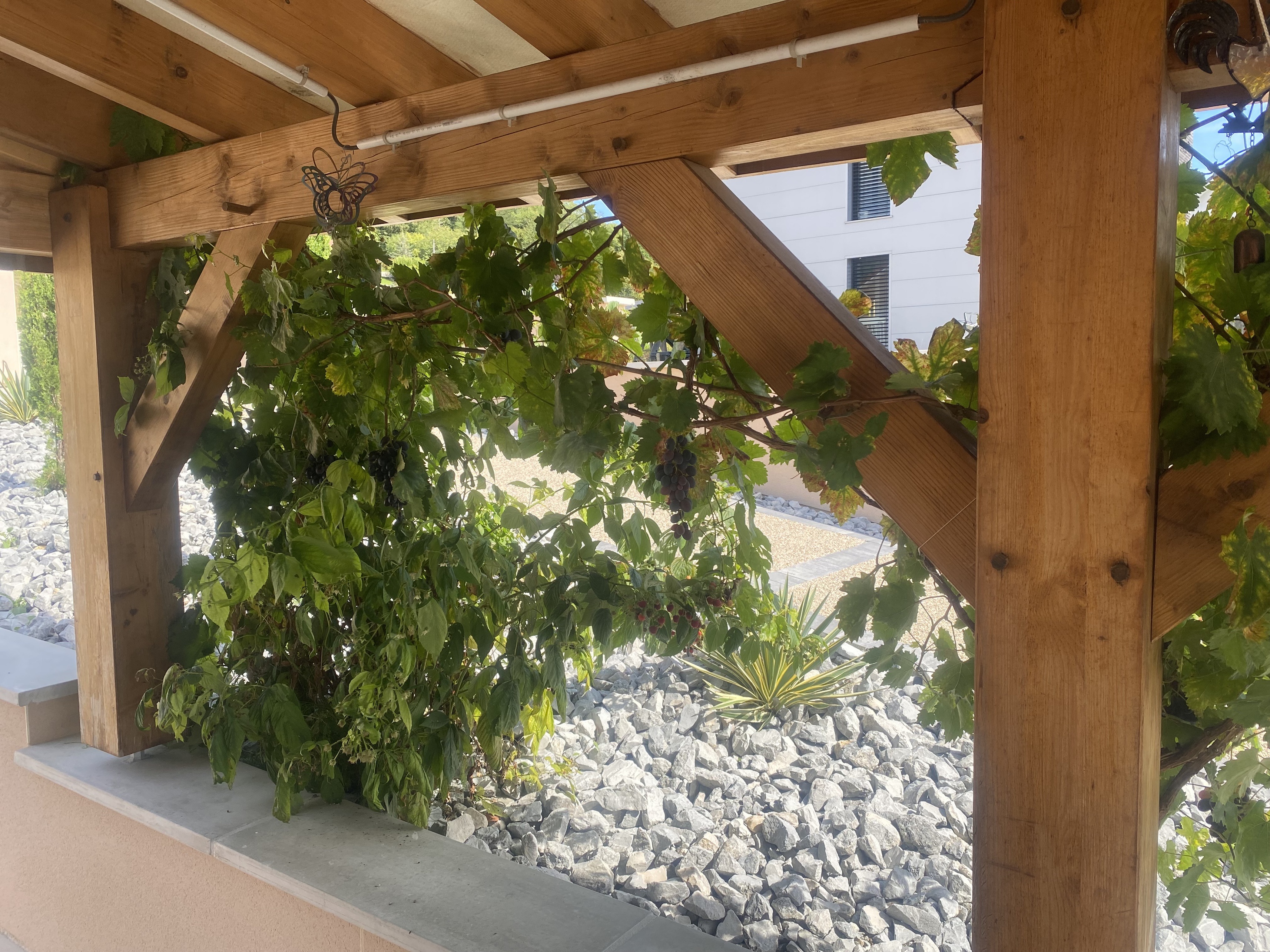 Achat immobilier Maison 5 pièces  147m2 à Amagney (25220) - Photo n°4