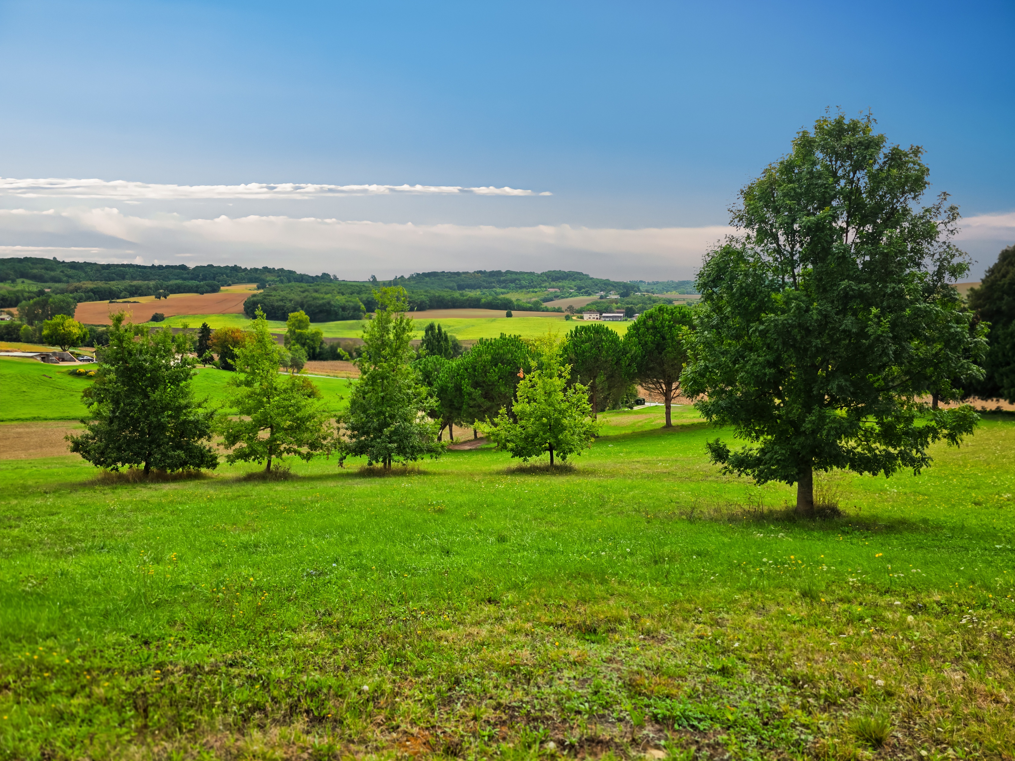 Achat immobilier Maison 10 pièces  300m2 à Marmande (47200) - Photo n°17