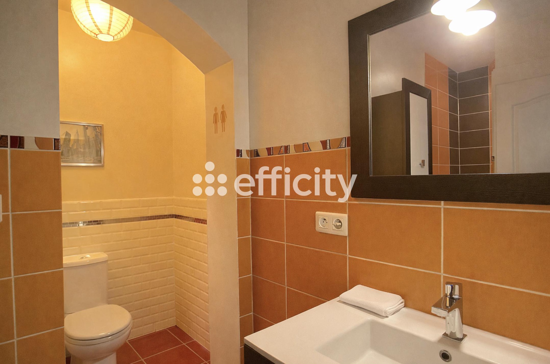 Achat immobilier Maison 5 pièces  209m2 à Montlaur (31450) - Photo n°15