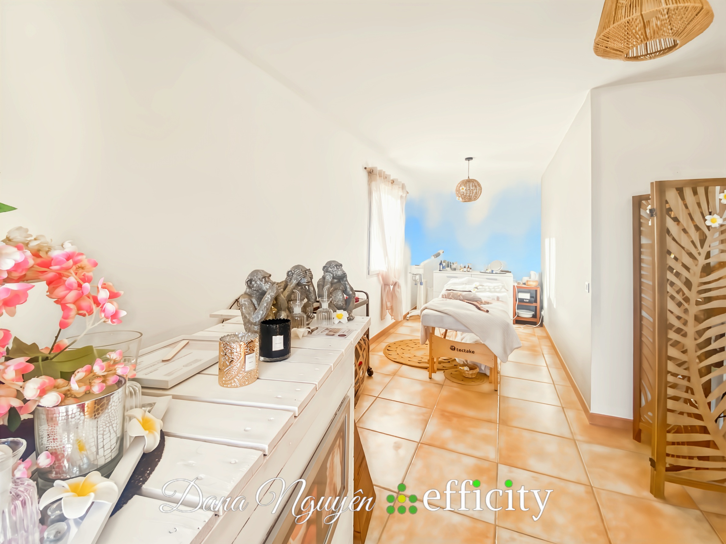 Achat immobilier Maison 8 pièces  176m2 à Allègre-les-Fumades (30500) - Photo n°11