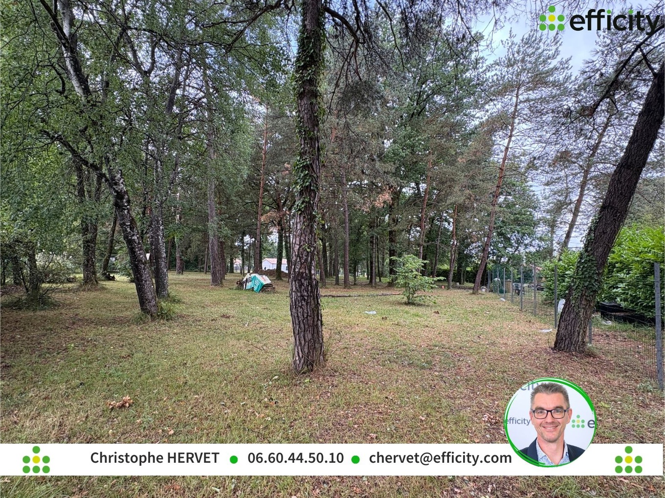 Achat immobilier Terrain   906m2 à Dirac (16410) - Photo n°5