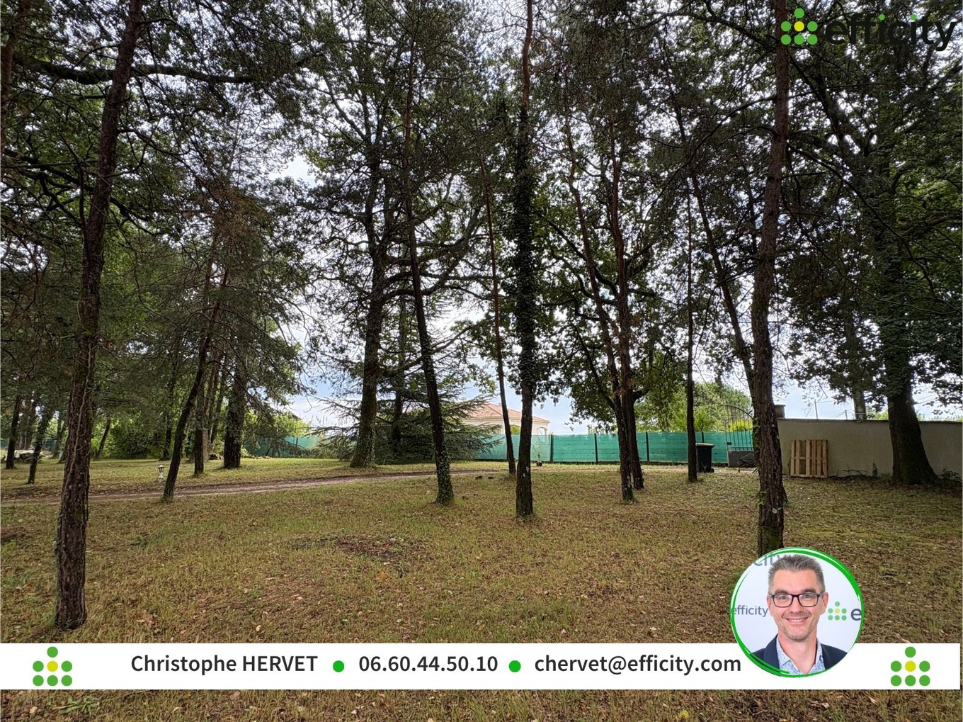 Achat immobilier Terrain   906m2 à Dirac (16410) - Photo n°4
