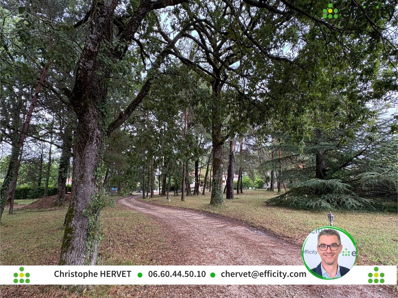 Achat immobilier Terrain   1949m2 à Dirac (16410) - Photo n°4