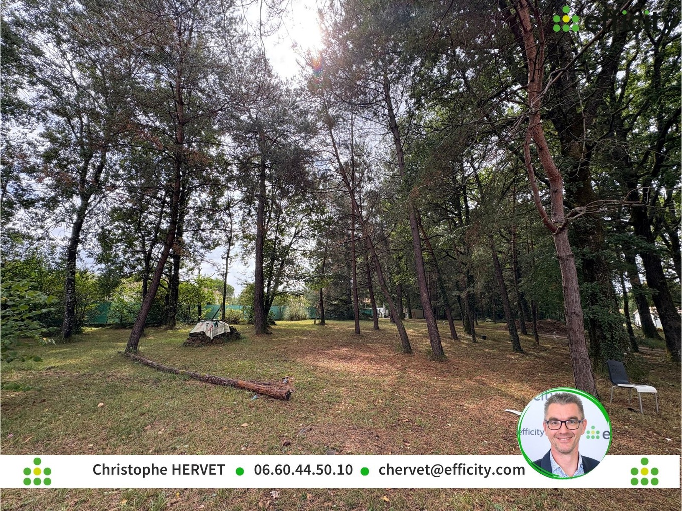 Achat immobilier Terrain   1949m2 à Dirac (16410) - Photo n°5