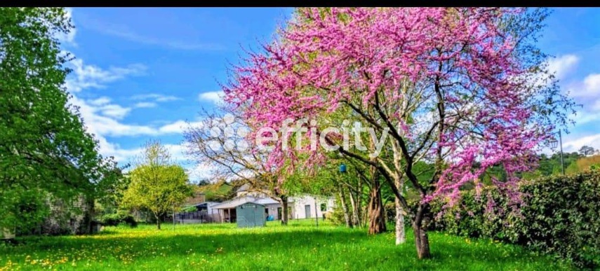 Achat immobilier Maison 6 pièces  125m2 à Tessy-Bocage (50420) - Photo n°22