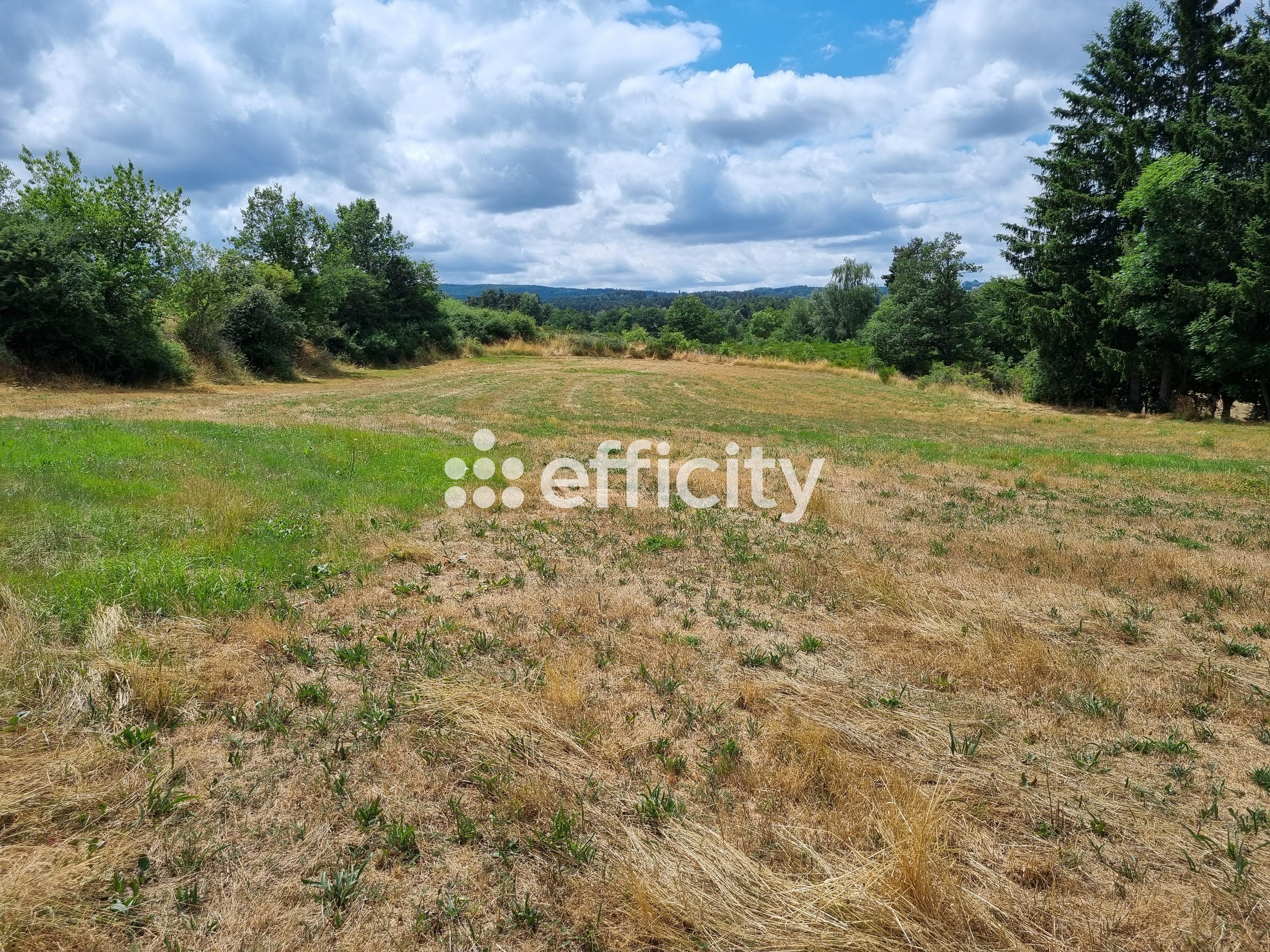 terrain  - 4460m2 à Blavignac (48200)