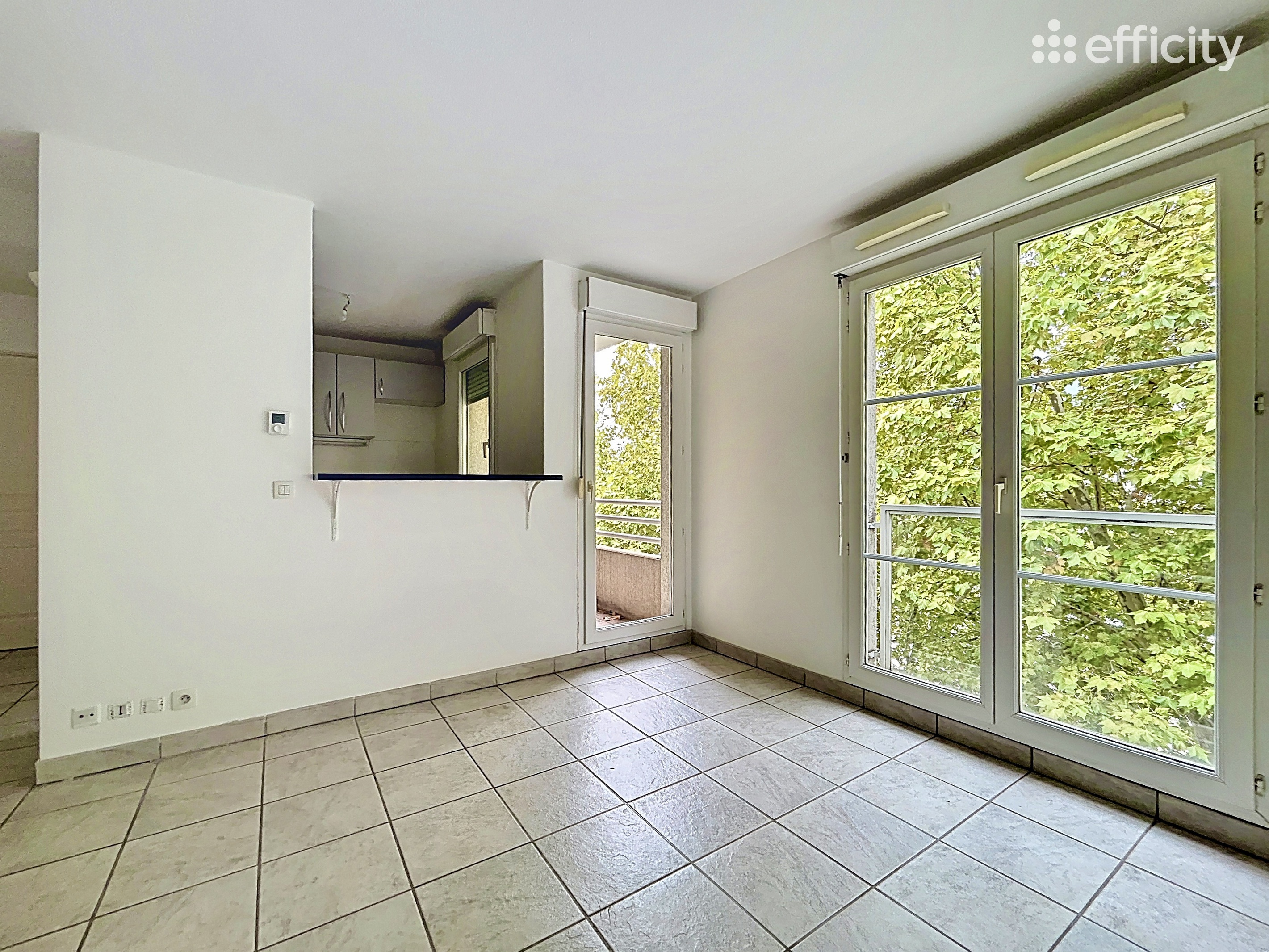 Achat immobilier Appartement 3 pièces  54m2 à Grenoble (38000) - Photo n°4