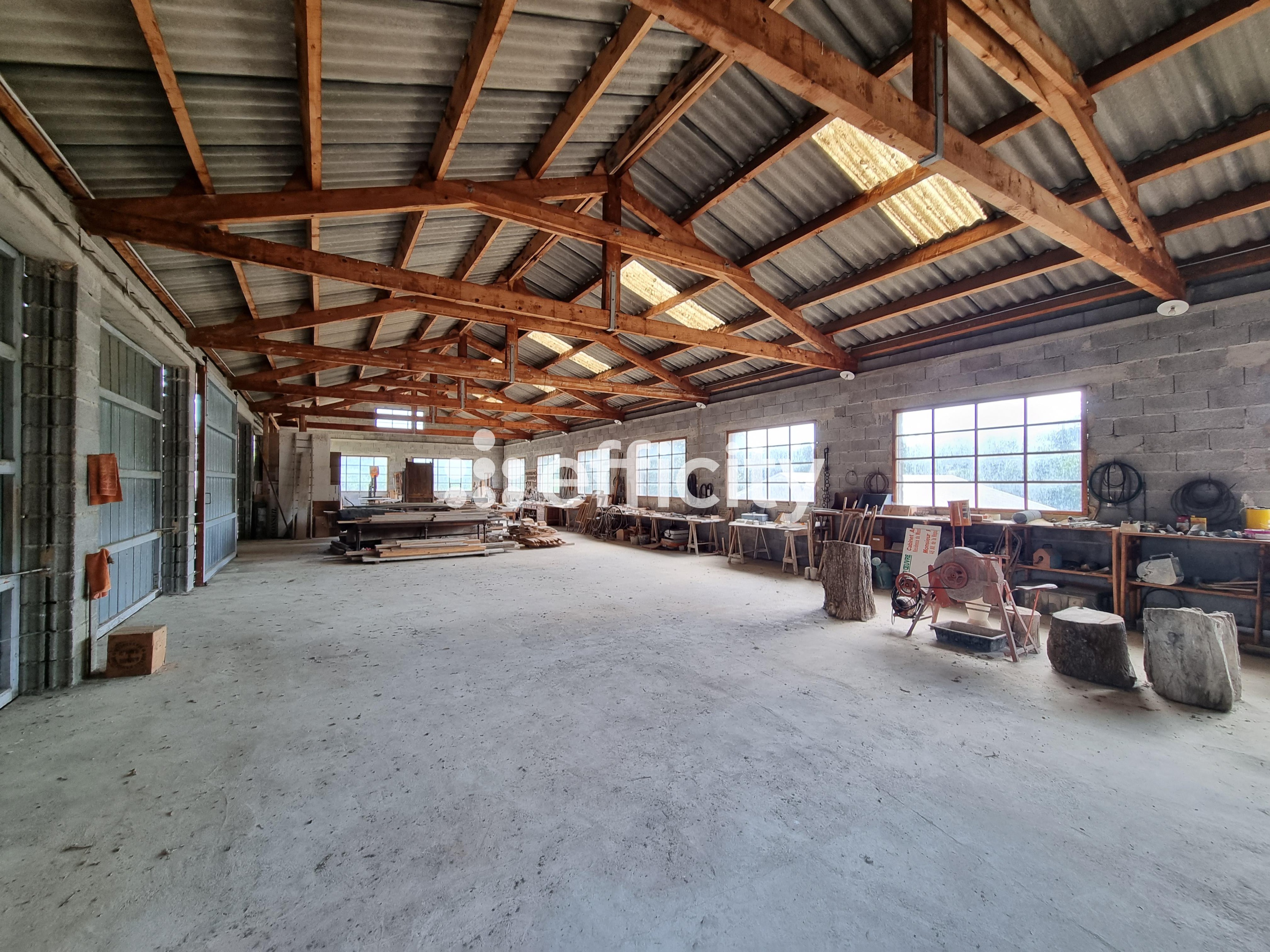 Achat immobilier Maison 7 pièces  140m2 à Le Malzieu-Ville (48140) - Photo n°6