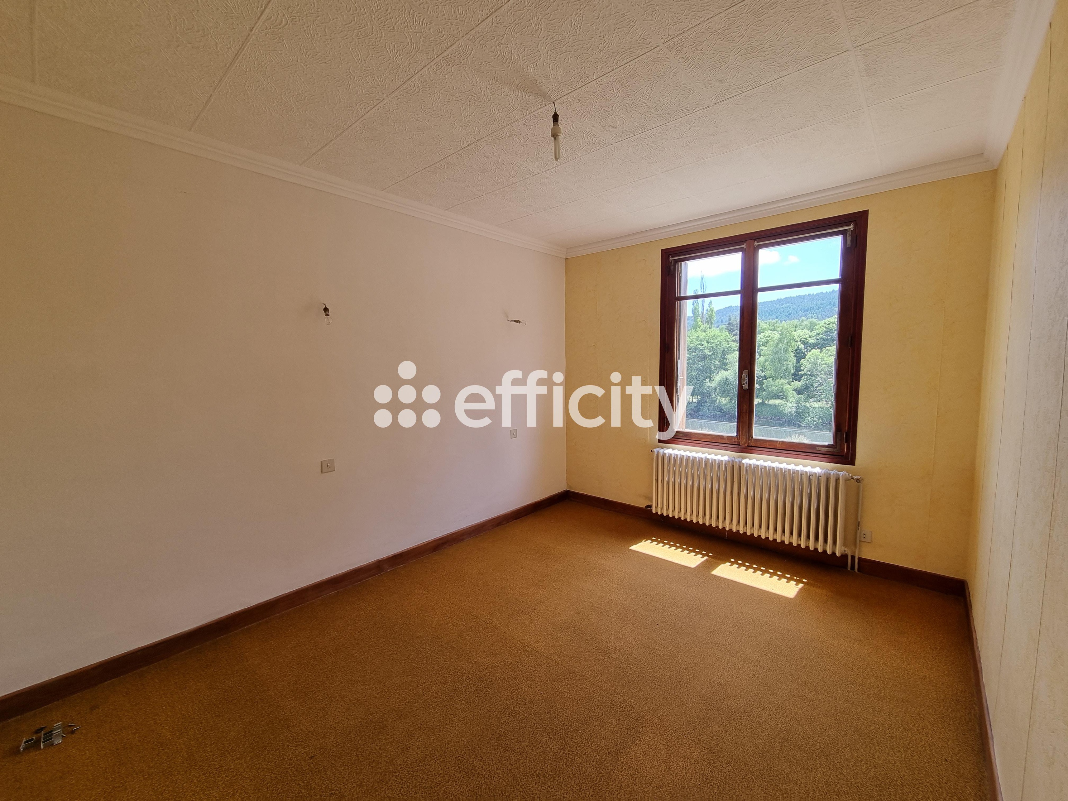Achat immobilier Maison 7 pièces  140m2 à Le Malzieu-Ville (48140) - Photo n°4