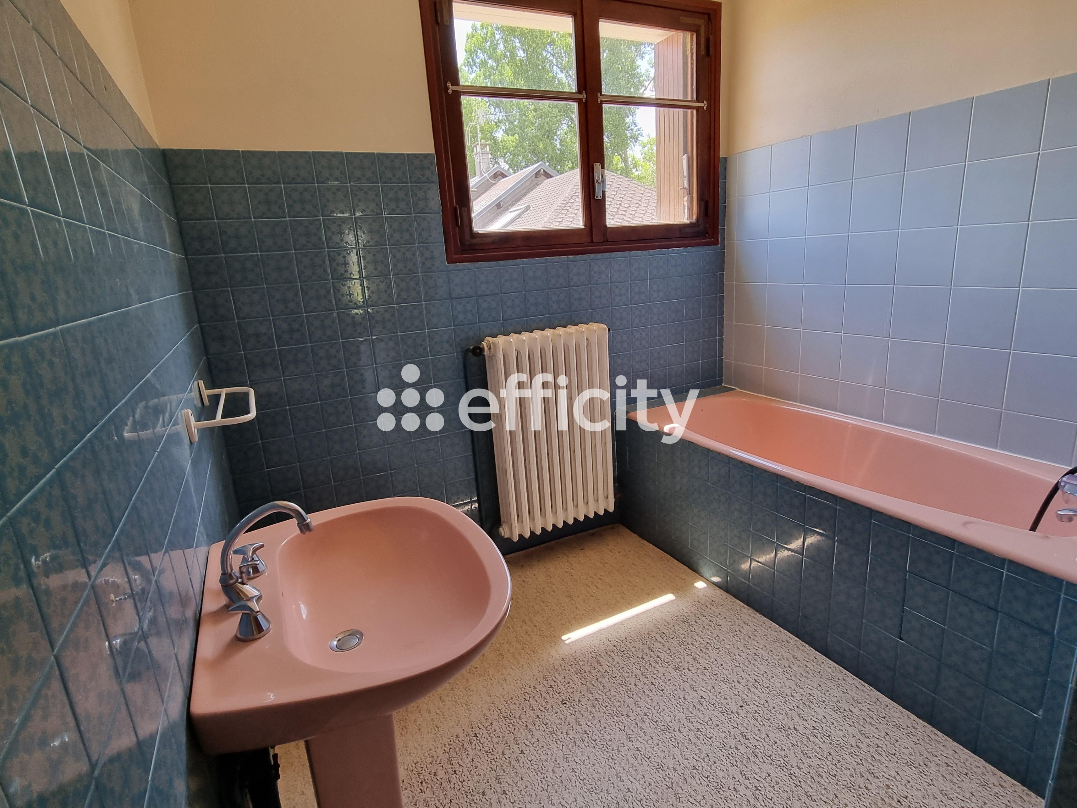 Achat immobilier Maison 7 pièces  140m2 à Le Malzieu-Ville (48140) - Photo n°9